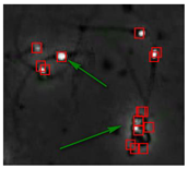 Diagnostics 13 01100 i010 Diagnostics 13 01100 i010