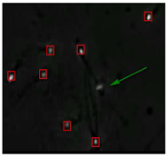 Diagnostics 13 01100 i014 Diagnostics 13 01100 i014