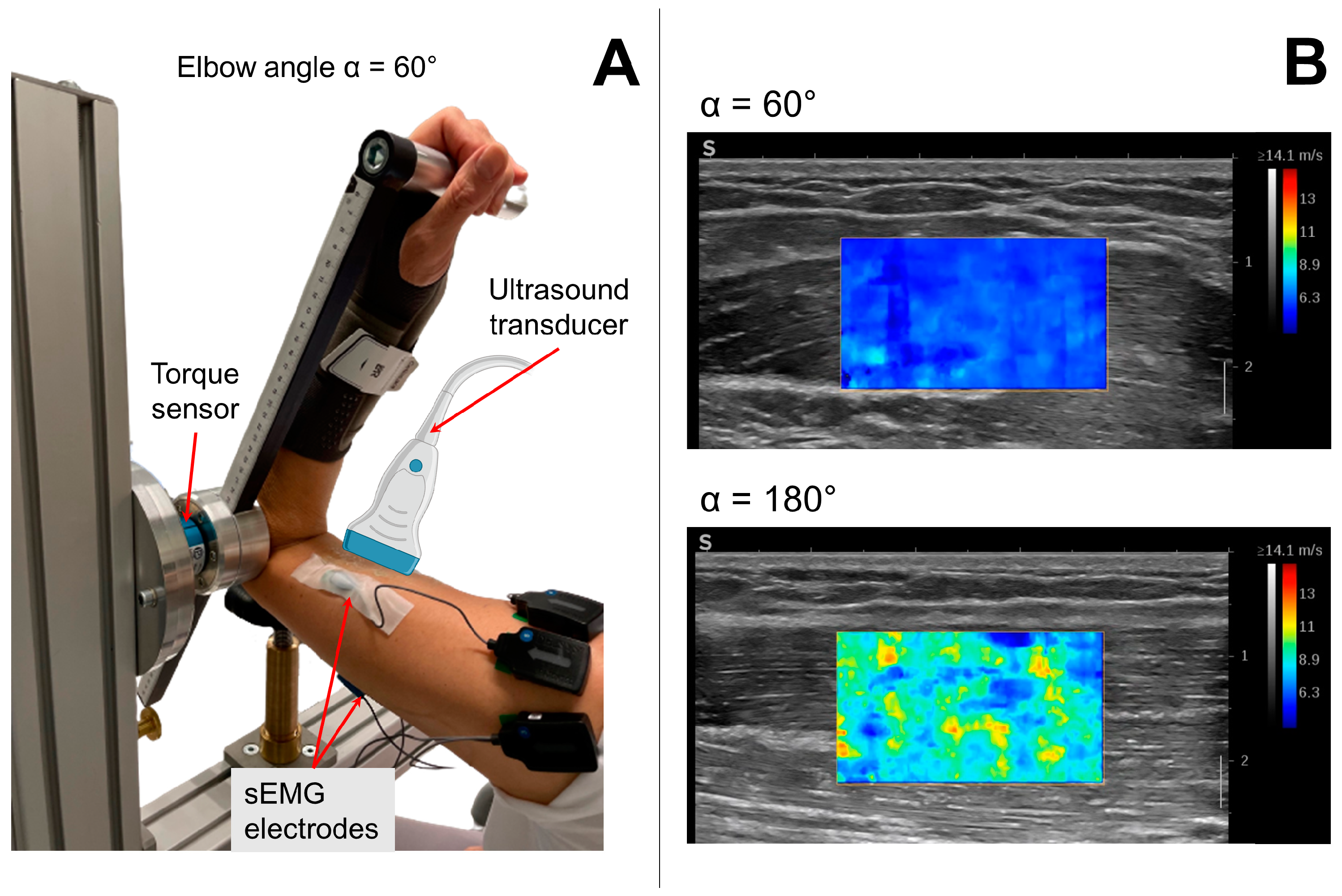 Diagnostics 13 01108 g001 Diagnostics 13 01108 g001