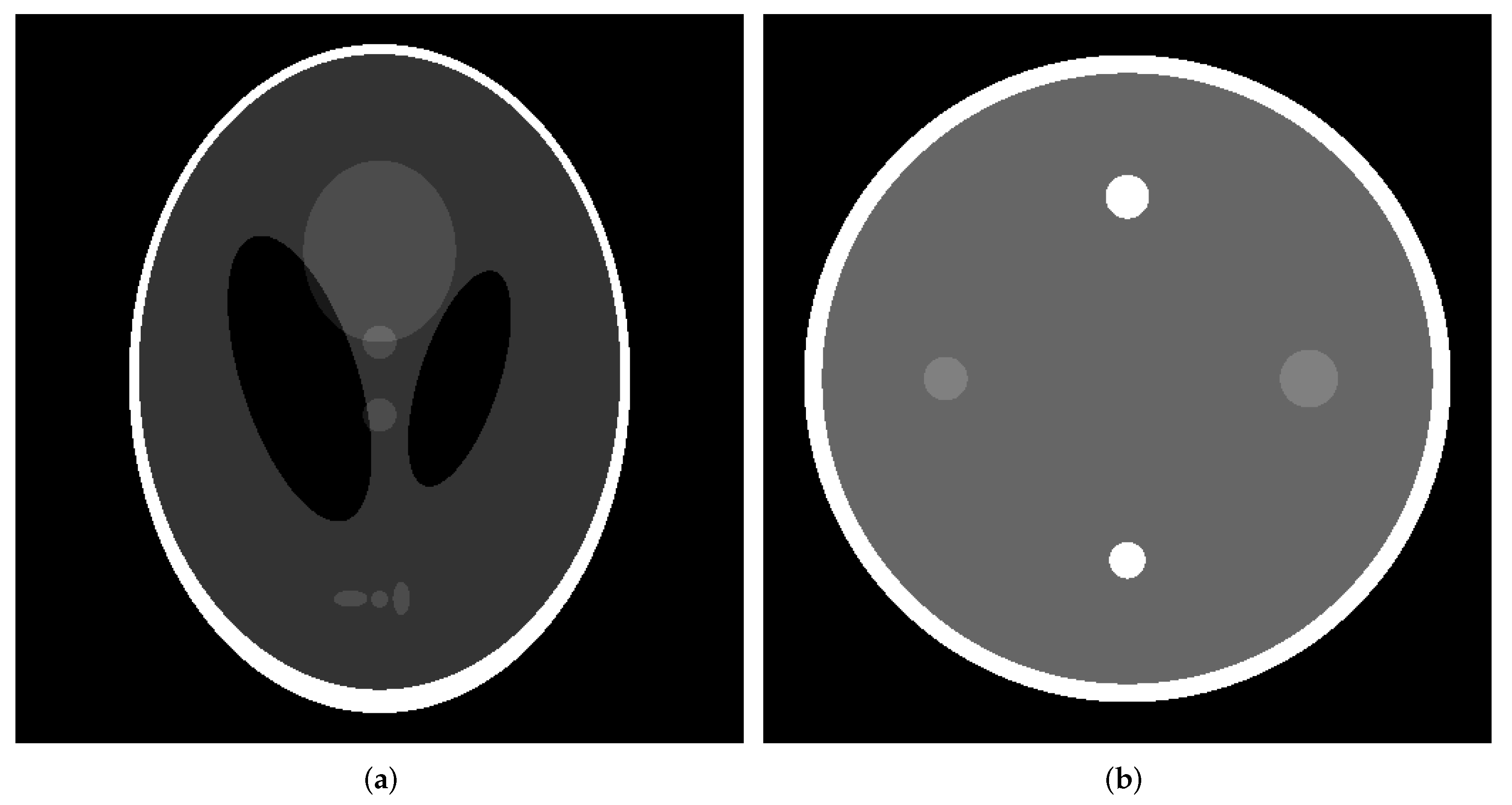 Diagnostics 13 01111 g001 Diagnostics 13 01111 g001