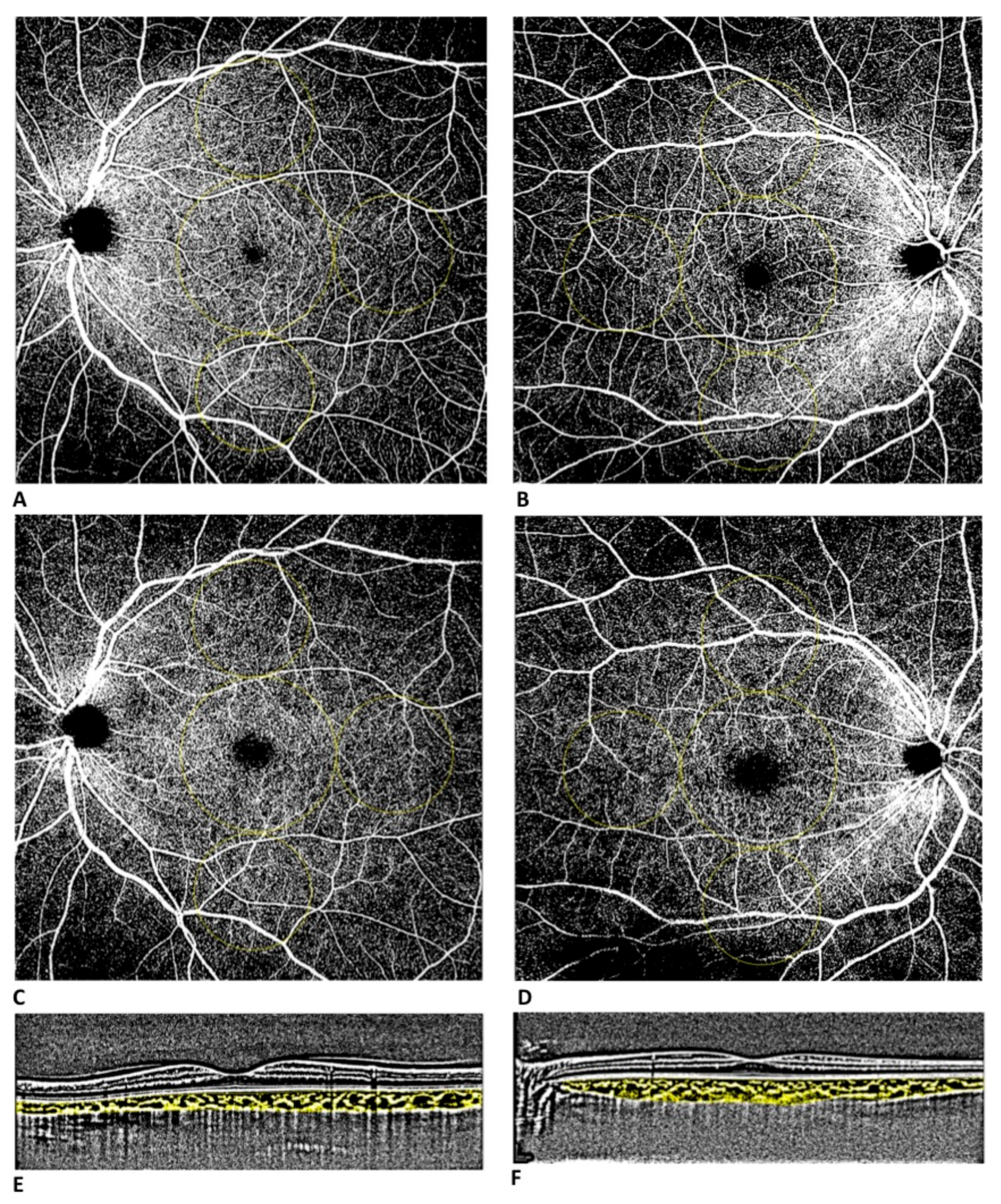 Diagnostics 13 01114 g001