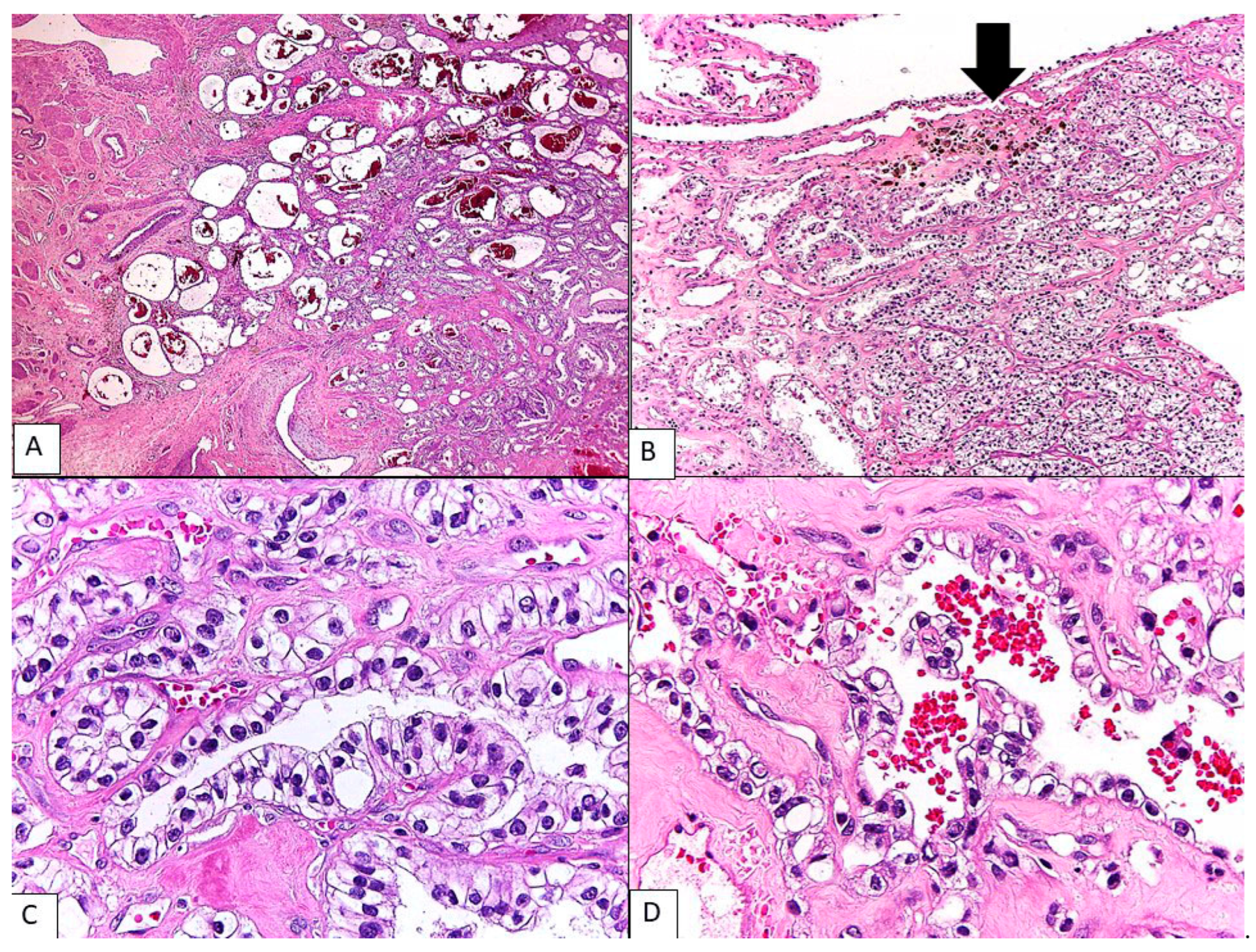 Diagnostics 13 01119 g002 Diagnostics 13 01119 g002