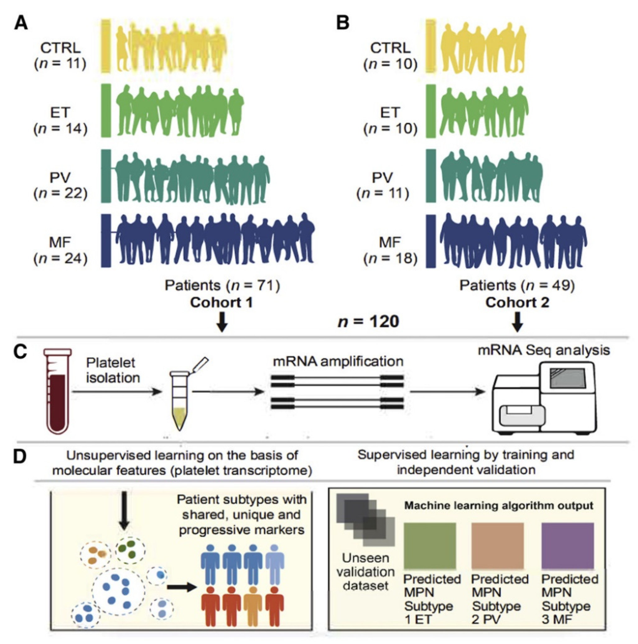 Diagnostics 13 01123 g004 Diagnostics 13 01123 g004