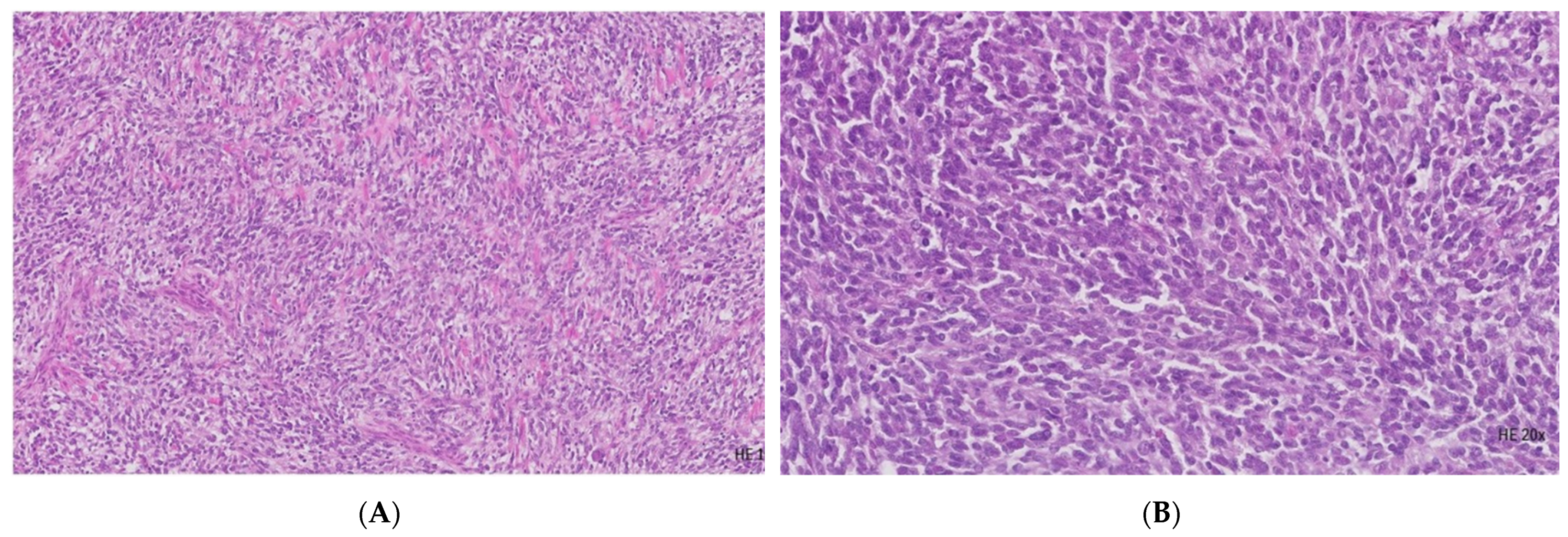 Diagnostics 13 01131 g002