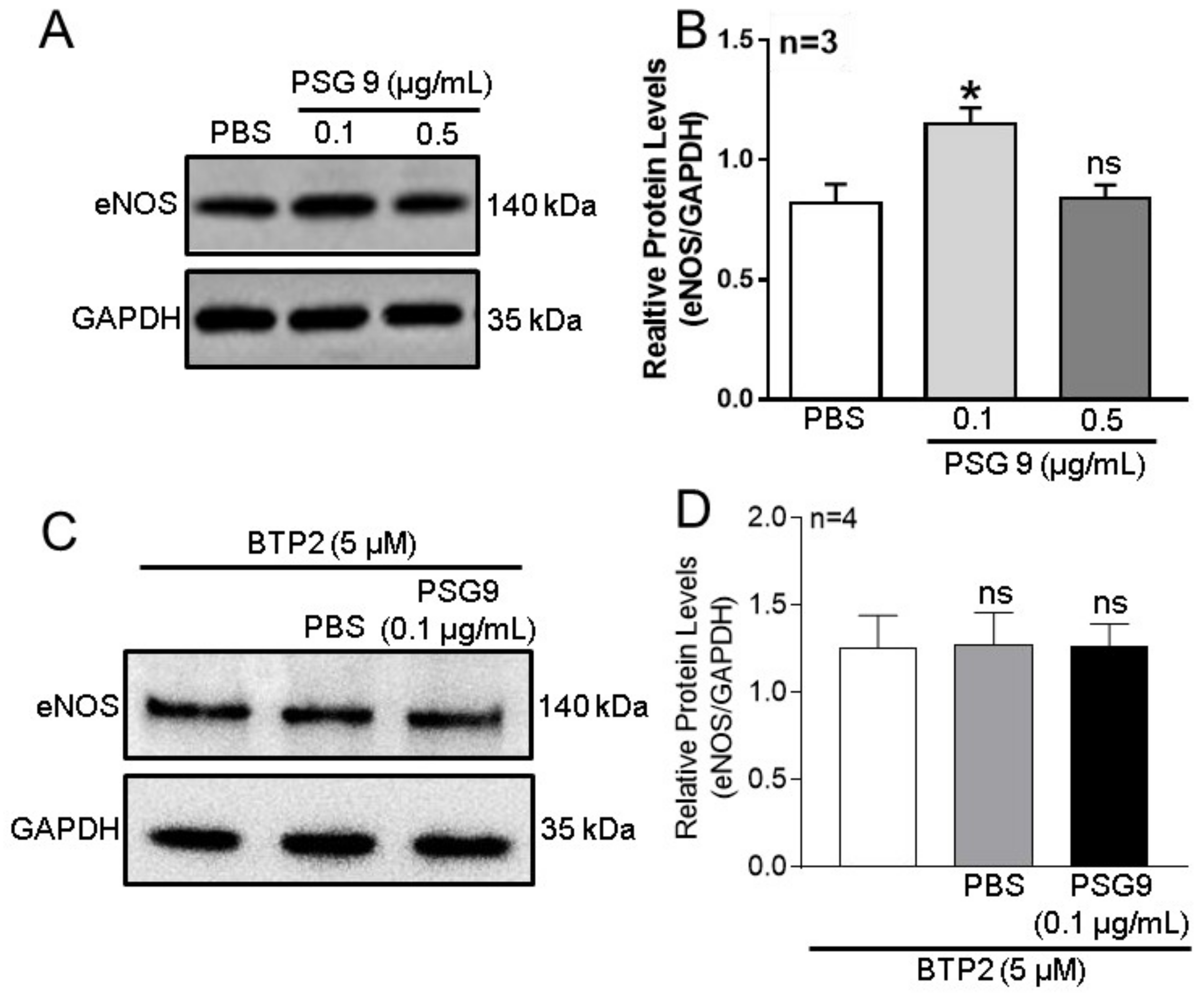 Pregnancy-Specific Glycoprotein 9 Enhances Store-Operated