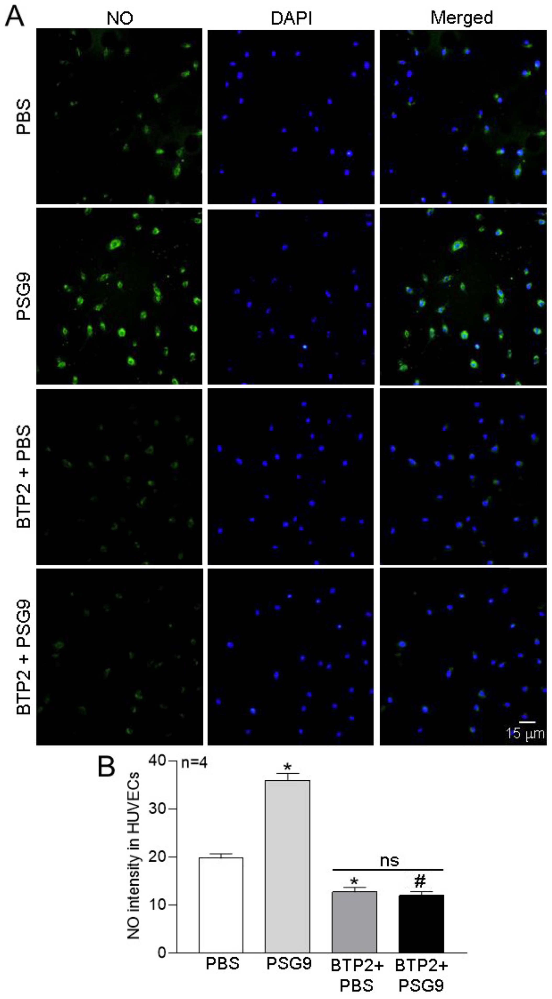 Diagnostics 13 01134 g005 Diagnostics 13 01134 g005