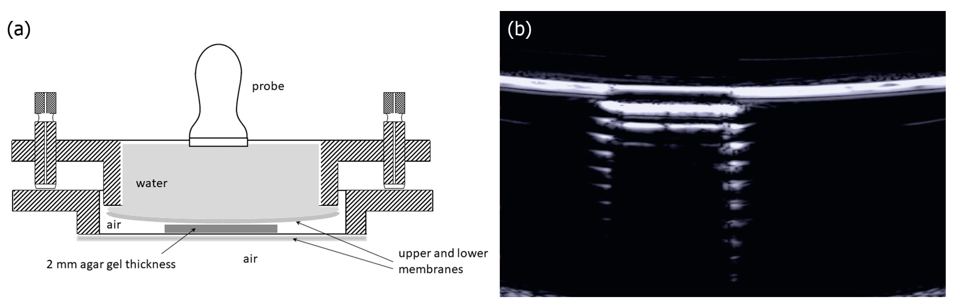 Diagnostics 13 01139 g002 Diagnostics 13 01139 g002