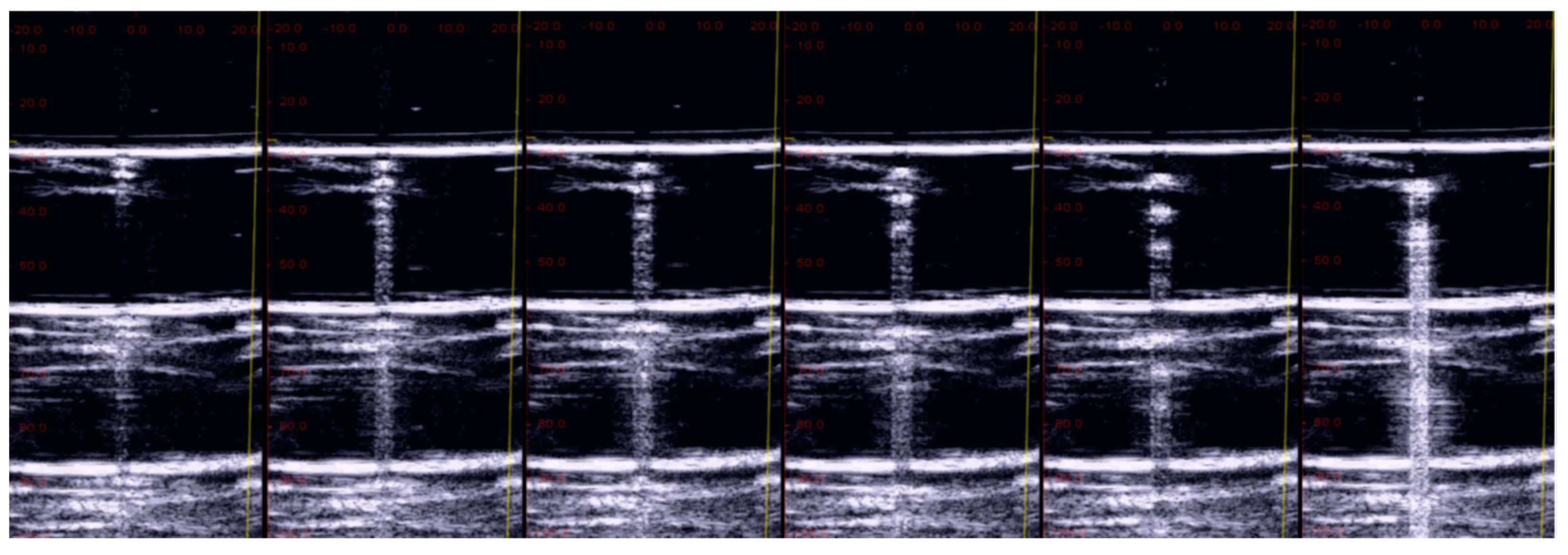 Diagnostics 13 01139 g003 Diagnostics 13 01139 g003