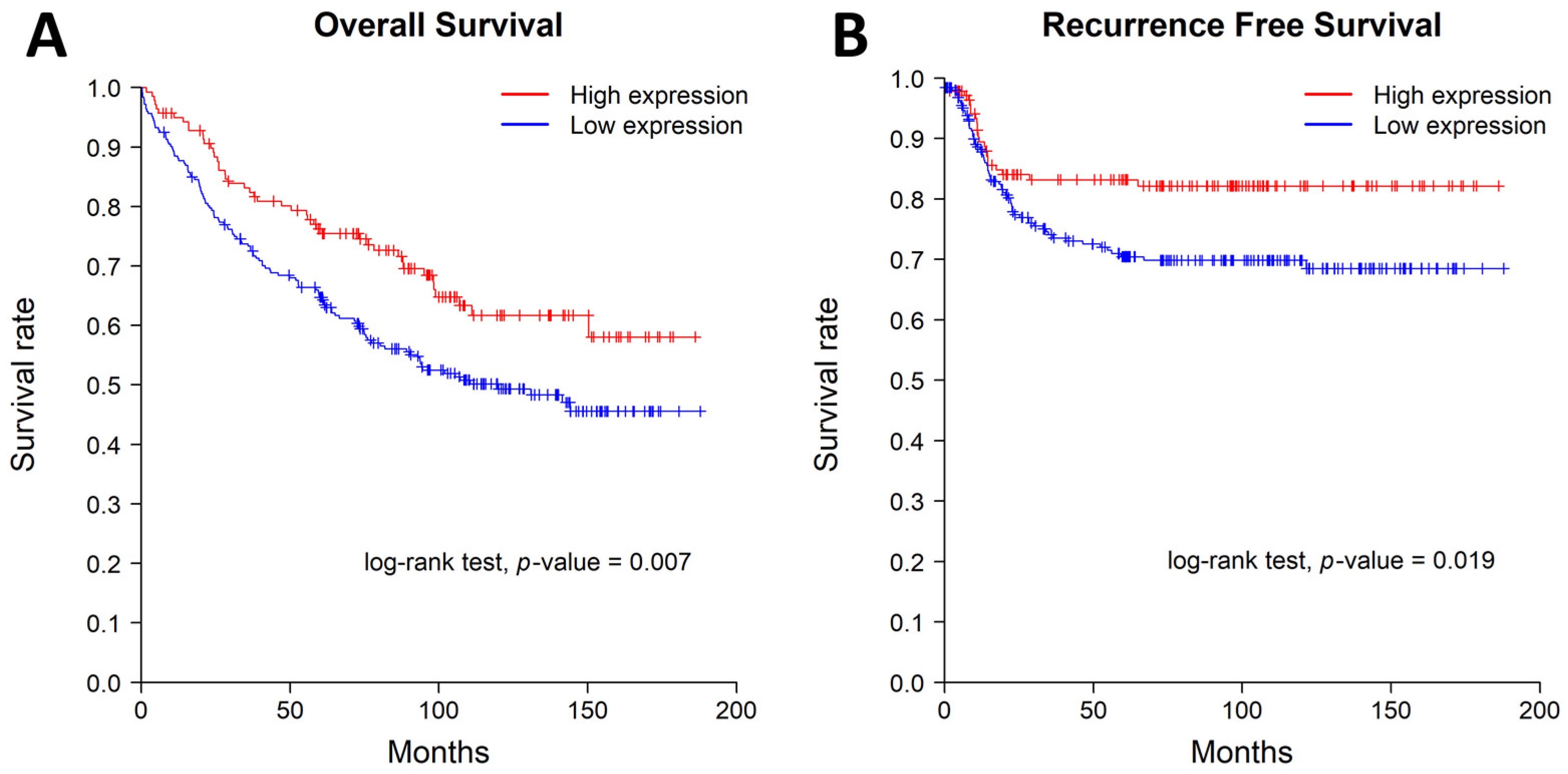 Diagnostics 13 01140 g002 Diagnostics 13 01140 g002