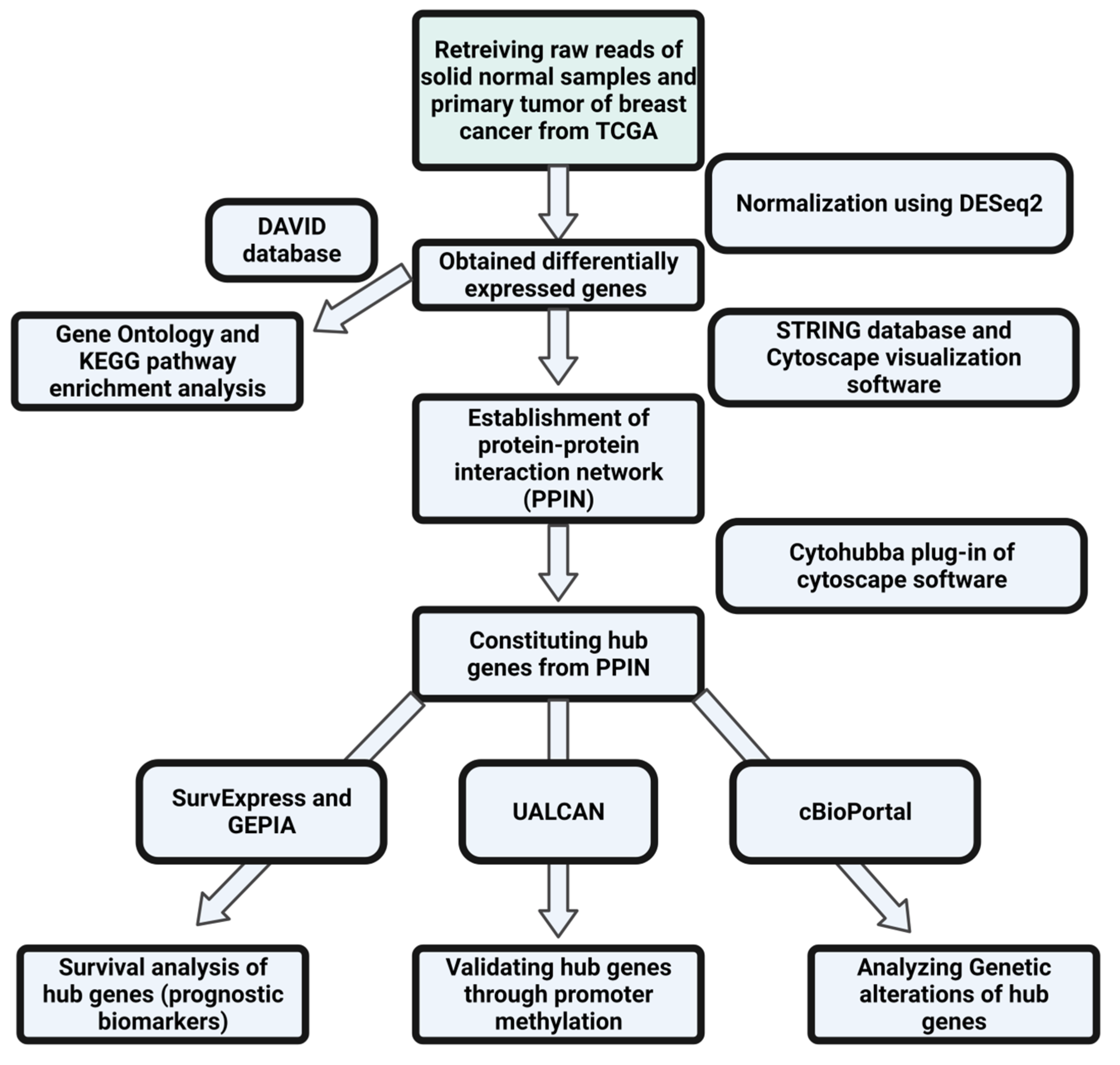 Diagnostics 13 01142 g001 Diagnostics 13 01142 g001