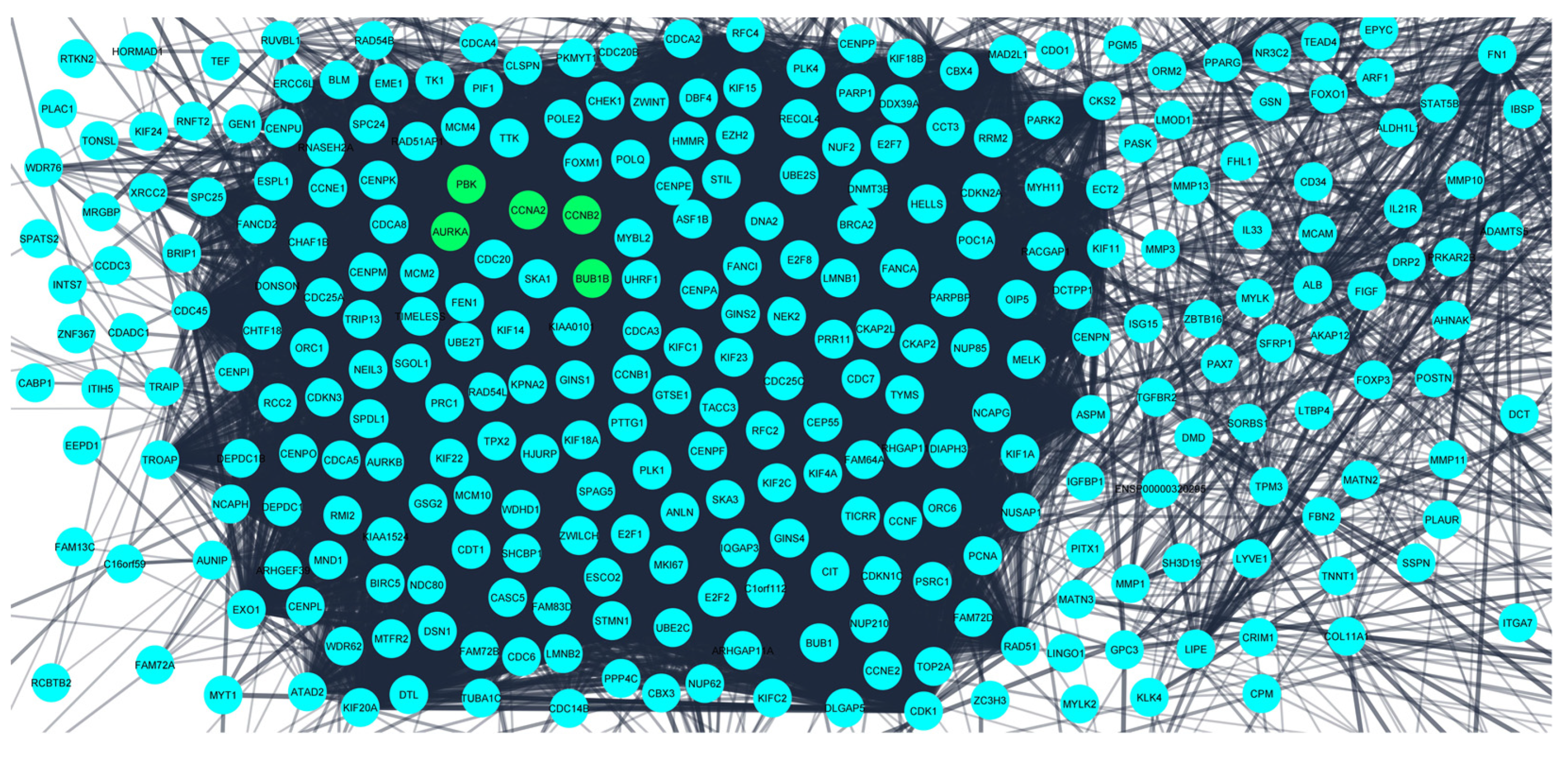 Diagnostics 13 01142 g003 Diagnostics 13 01142 g003