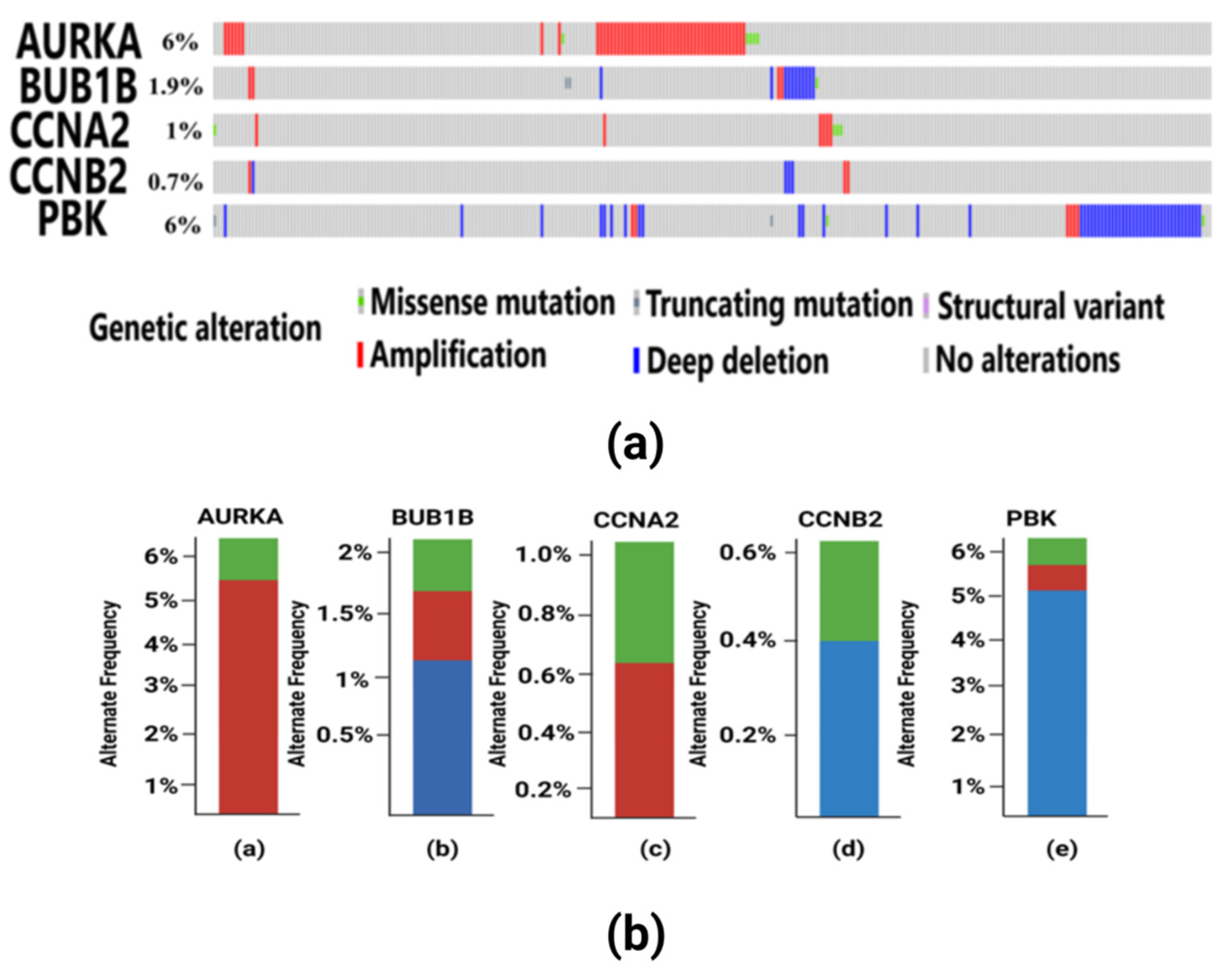 Diagnostics 13 01142 g008 Diagnostics 13 01142 g008