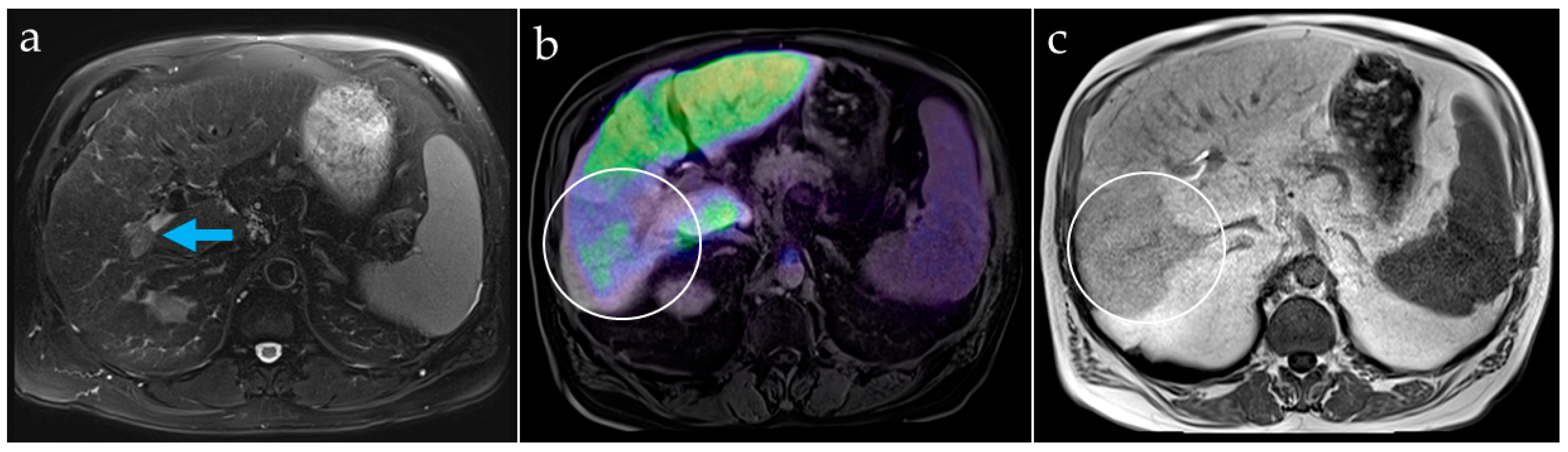 Diagnostics 13 01144 g006
