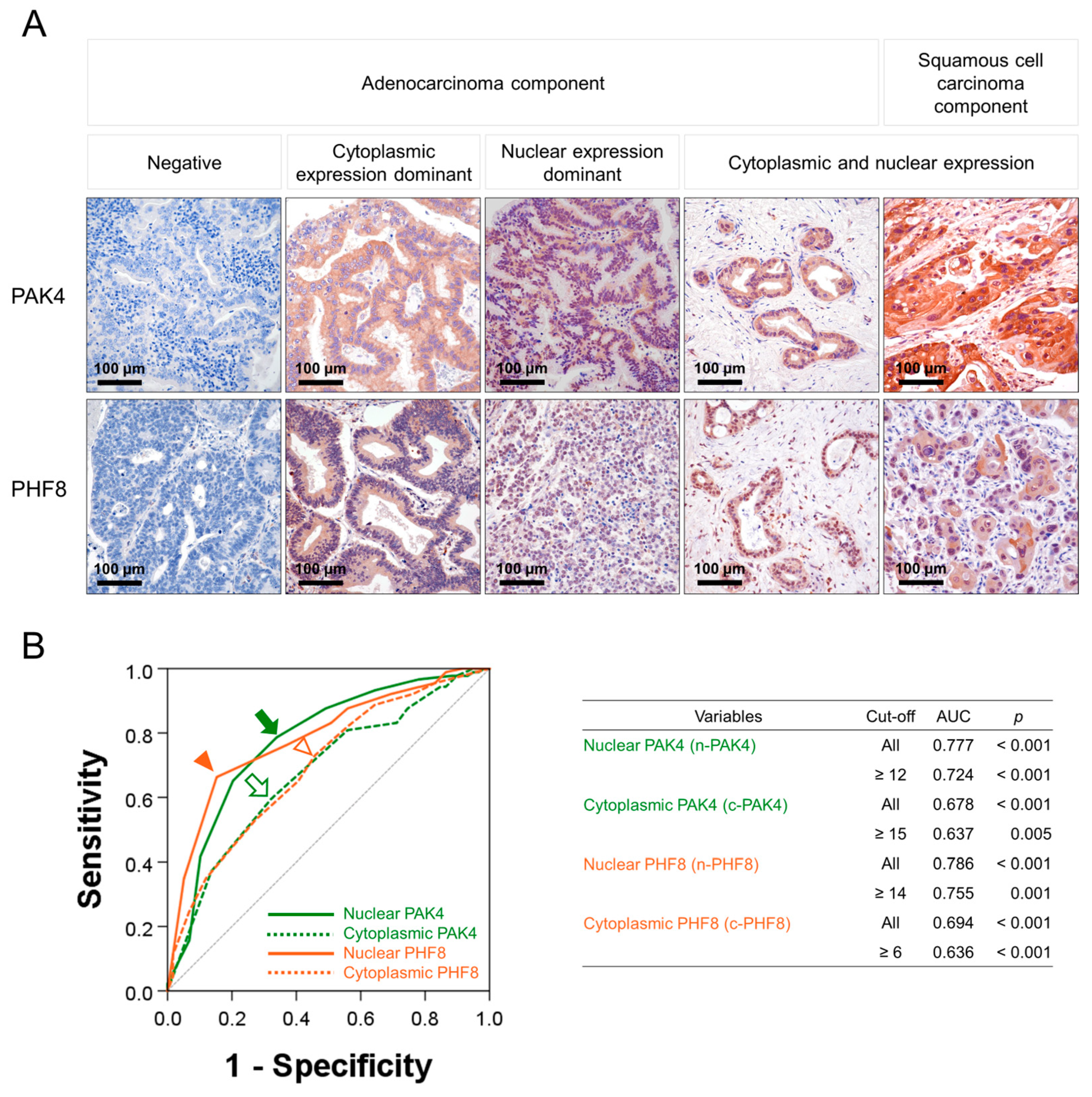 Diagnostics 13 01149 g001