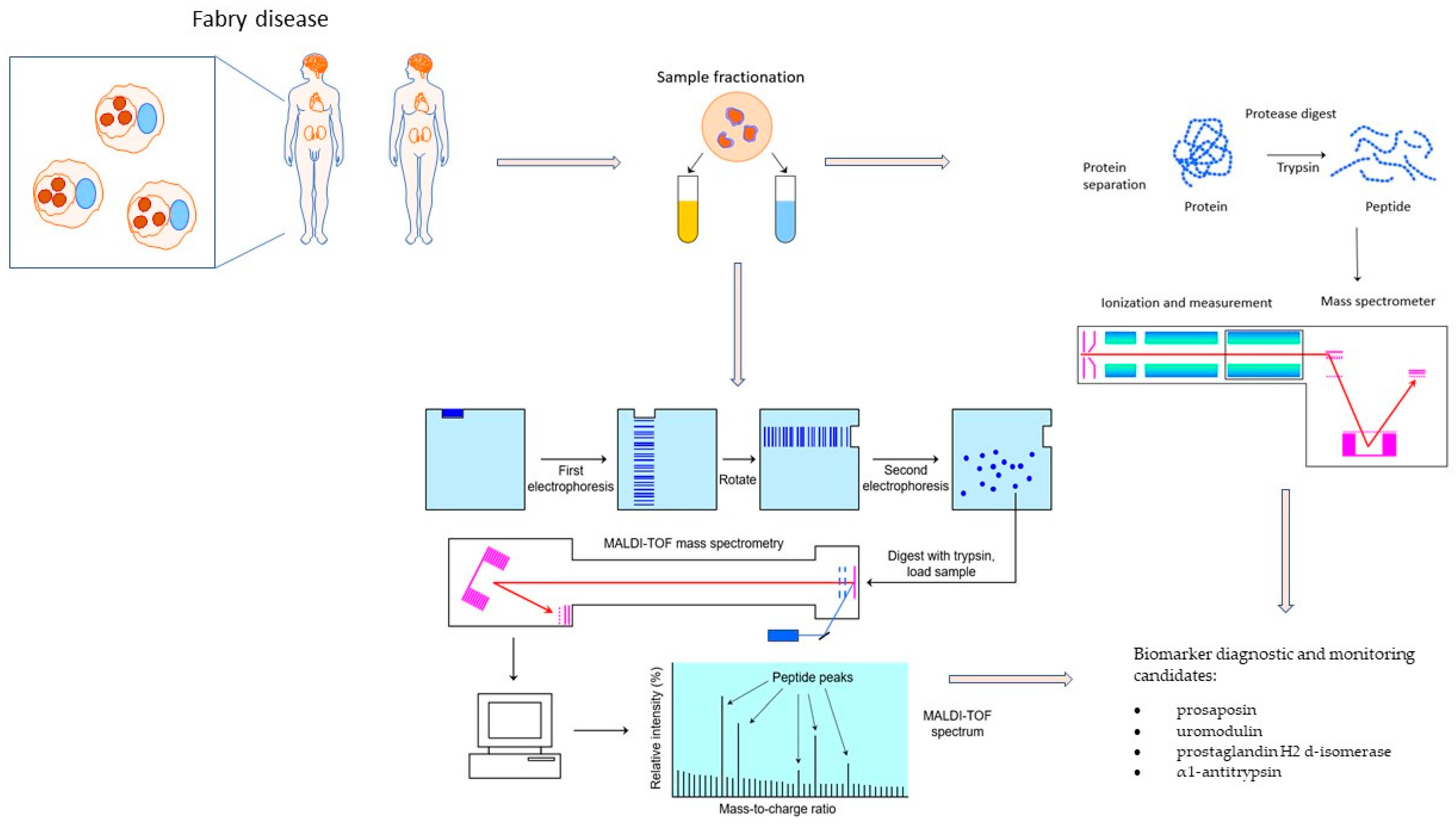 Diagnostics 13 01152 g002 Diagnostics 13 01152 g002