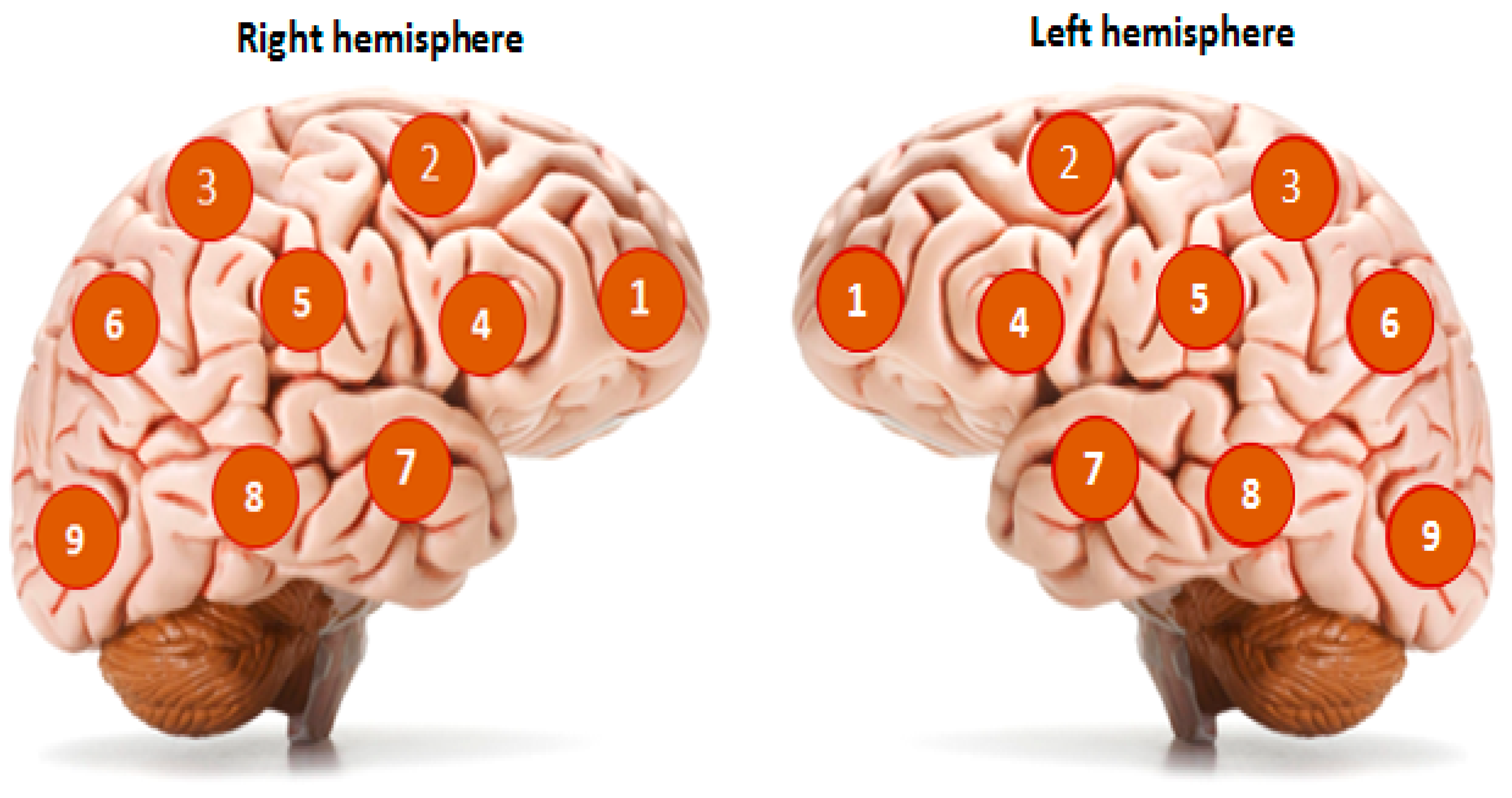Diagnostics 13 01159 g002