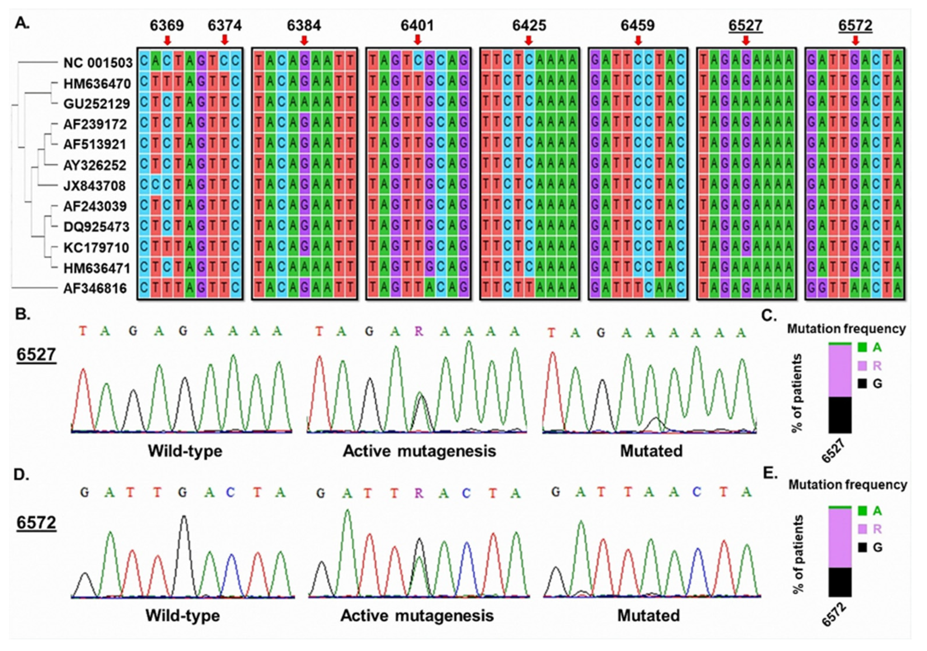 Diagnostics 13 01196 g001