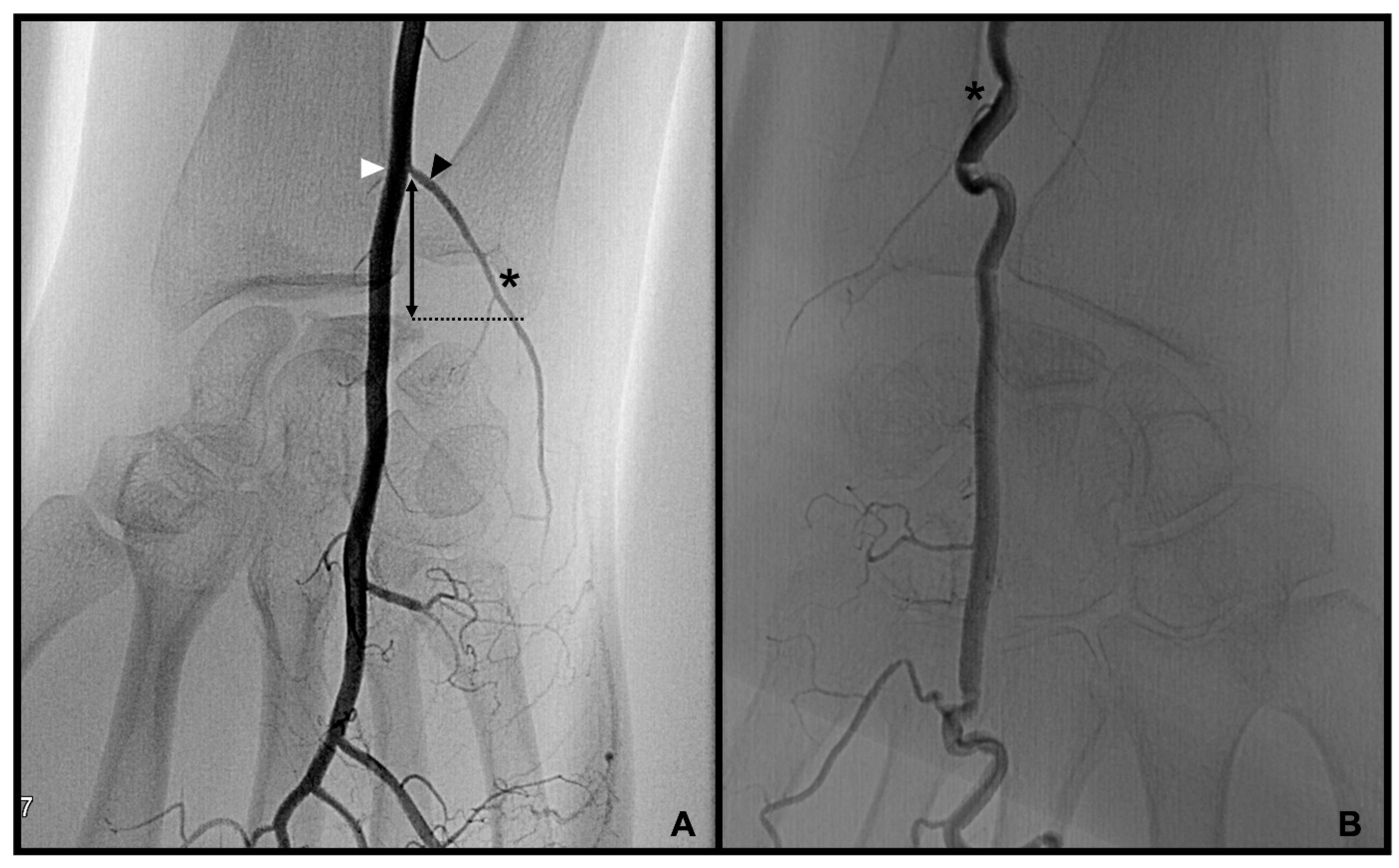 Diagnostics 13 01198 g003