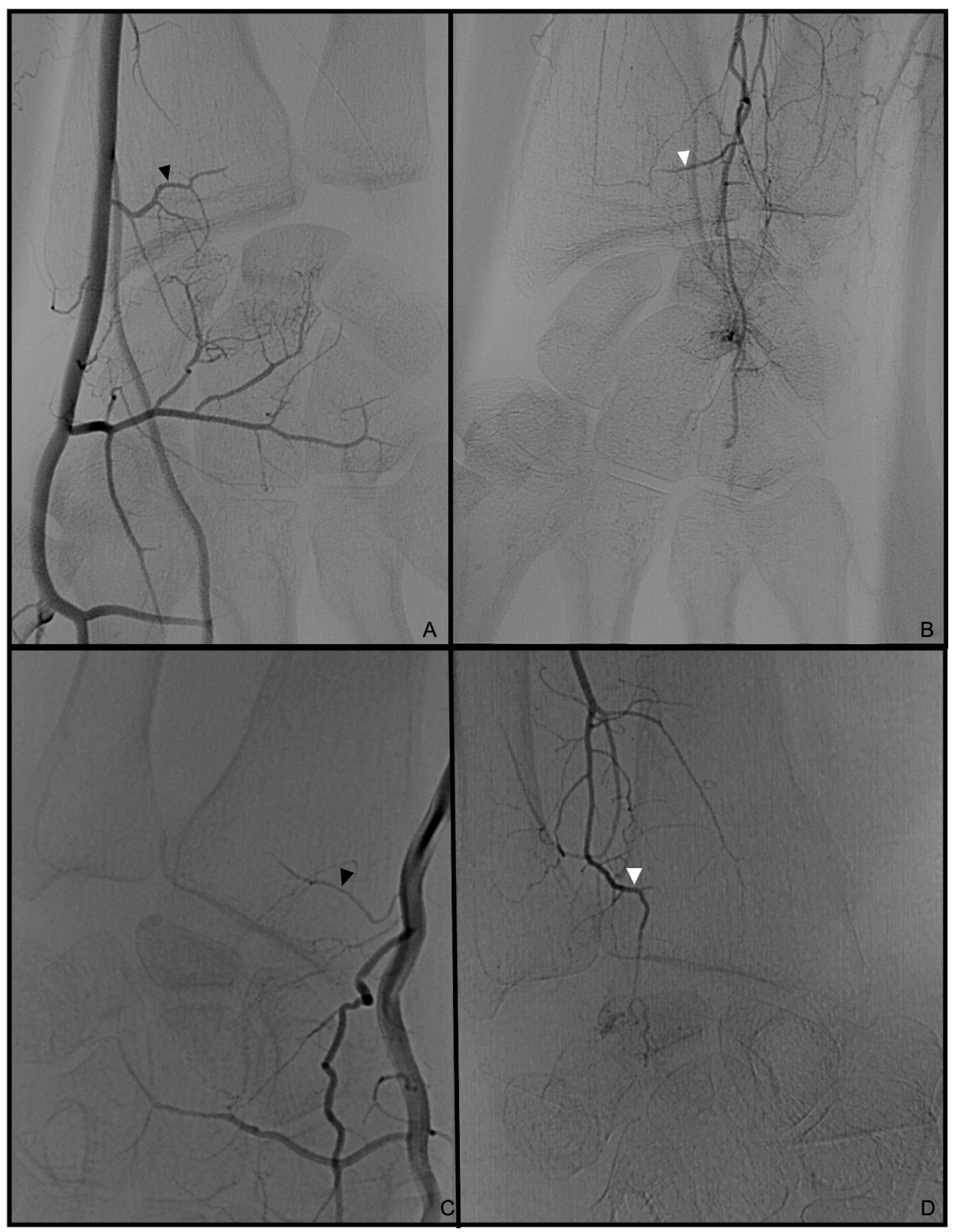 Diagnostics 13 01198 g008