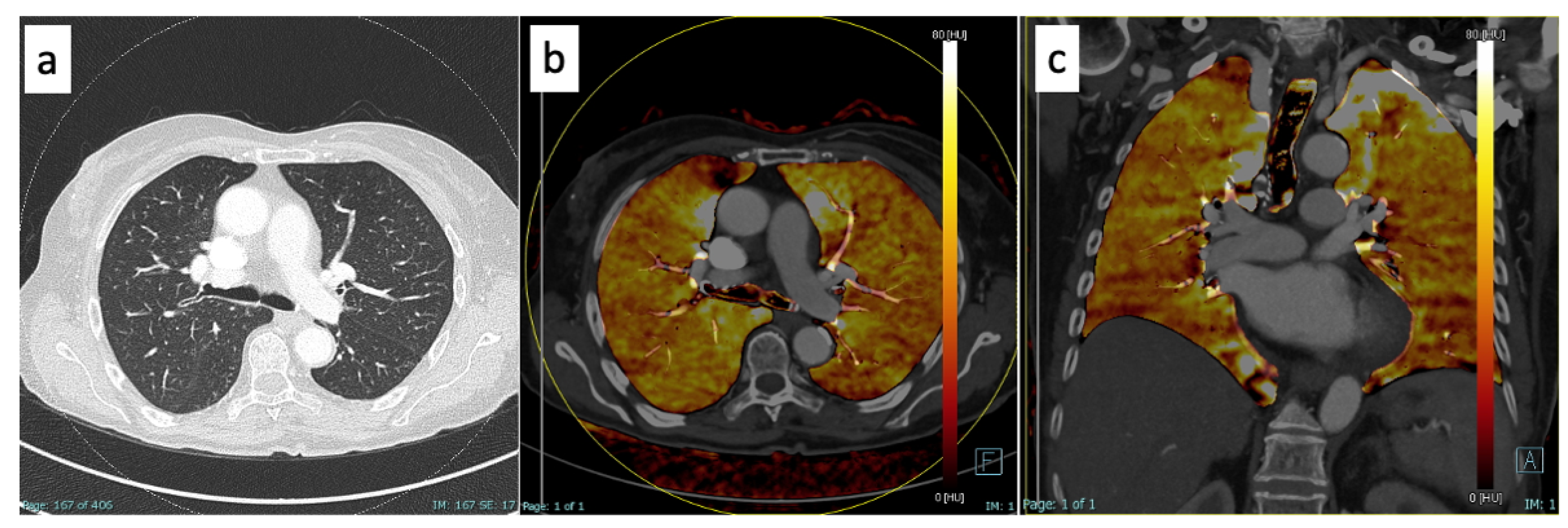 Diagnostics 13 01201 g002