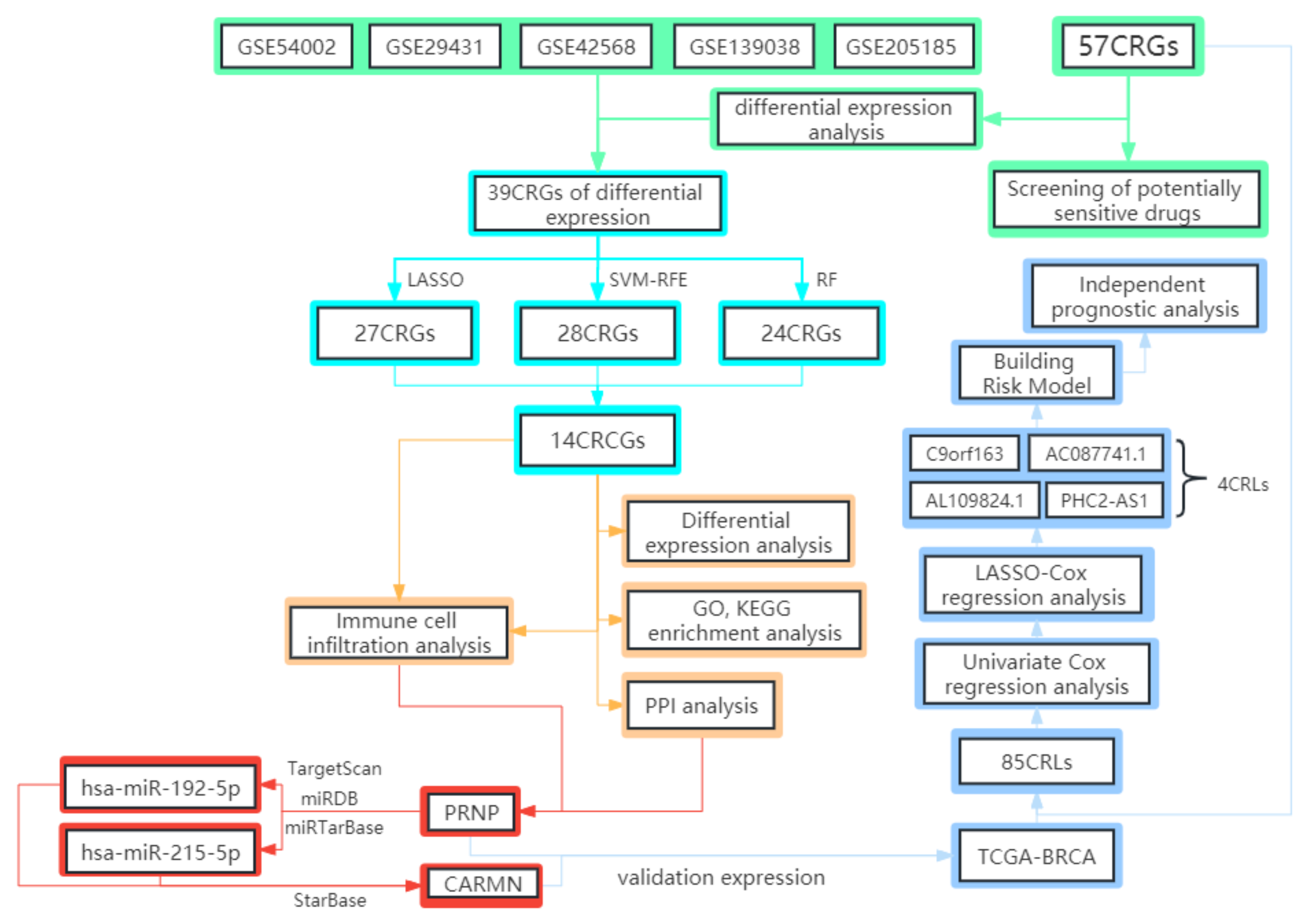 Diagnostics 13 01203 g001