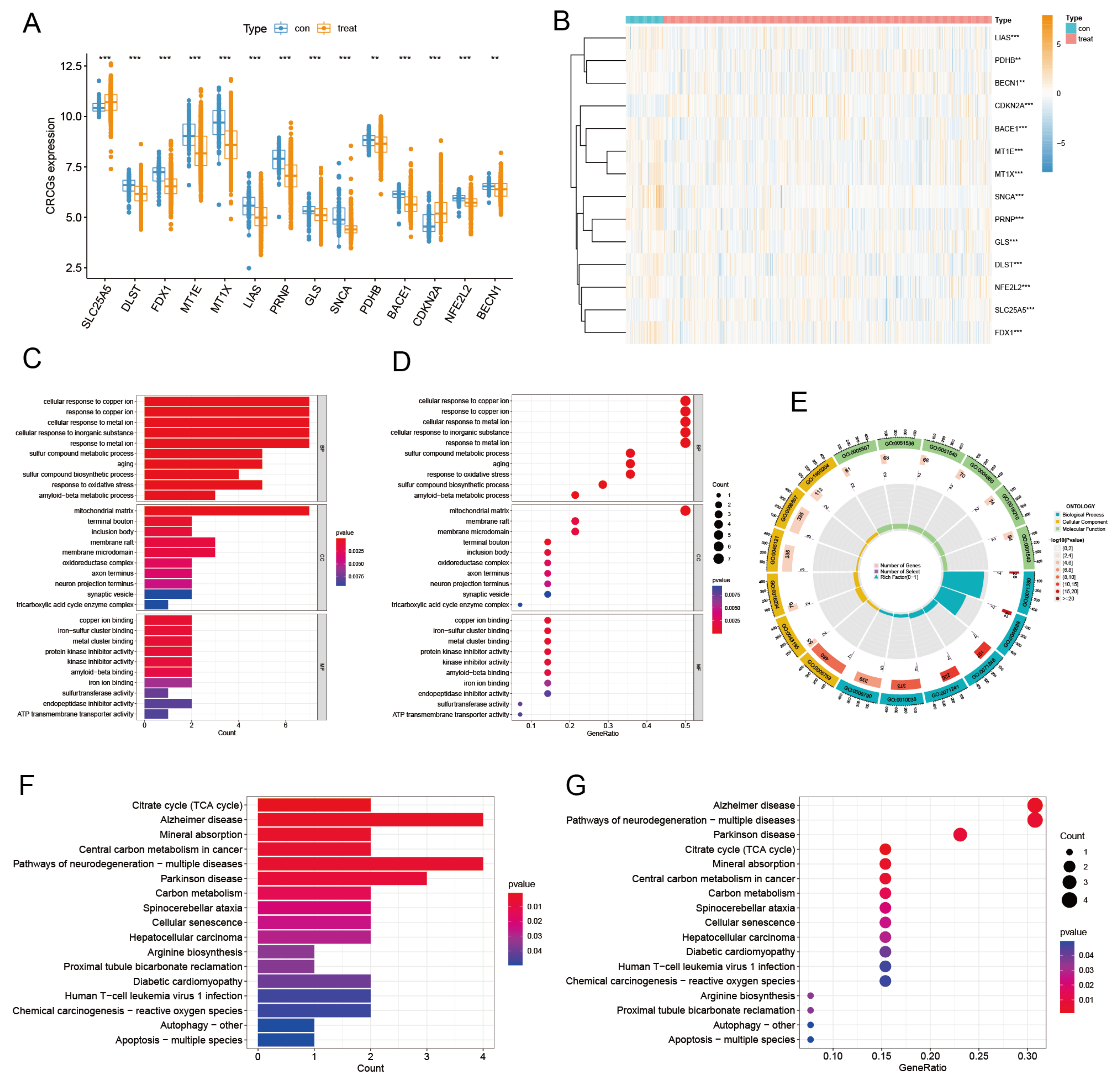 Diagnostics 13 01203 g004