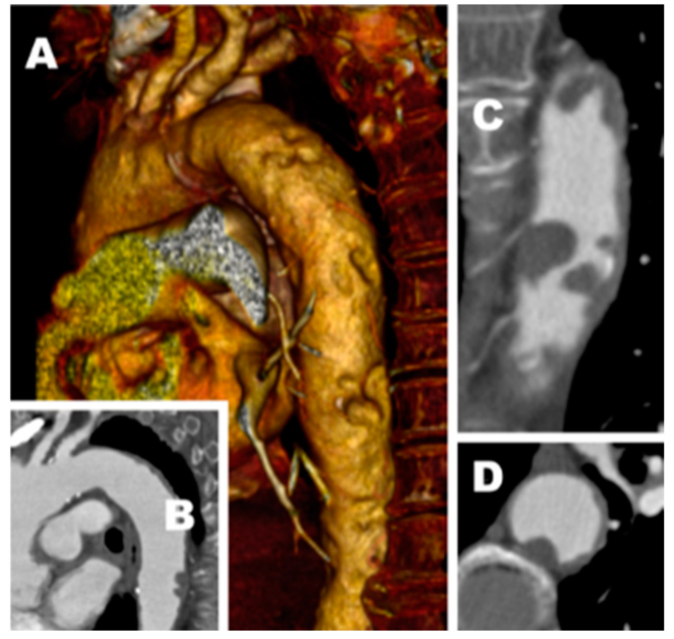 Diagnostics 13 01208 g001