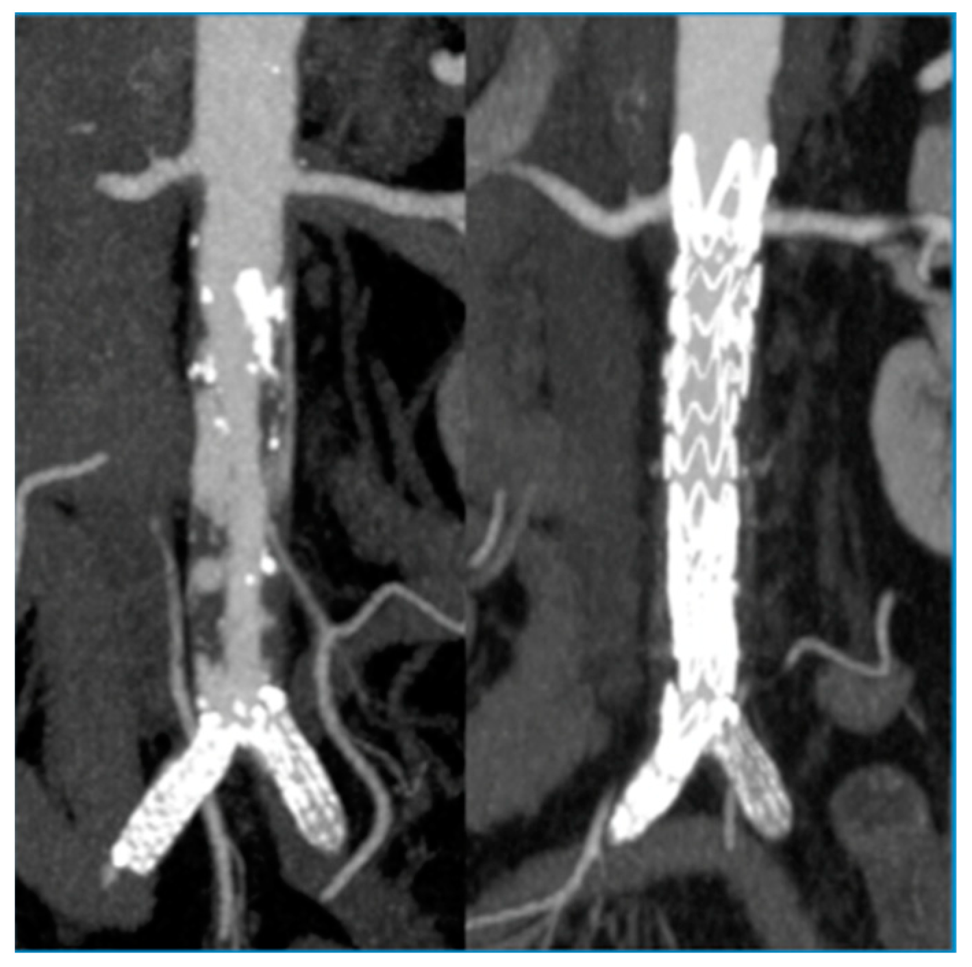 Diagnostics 13 01208 g002