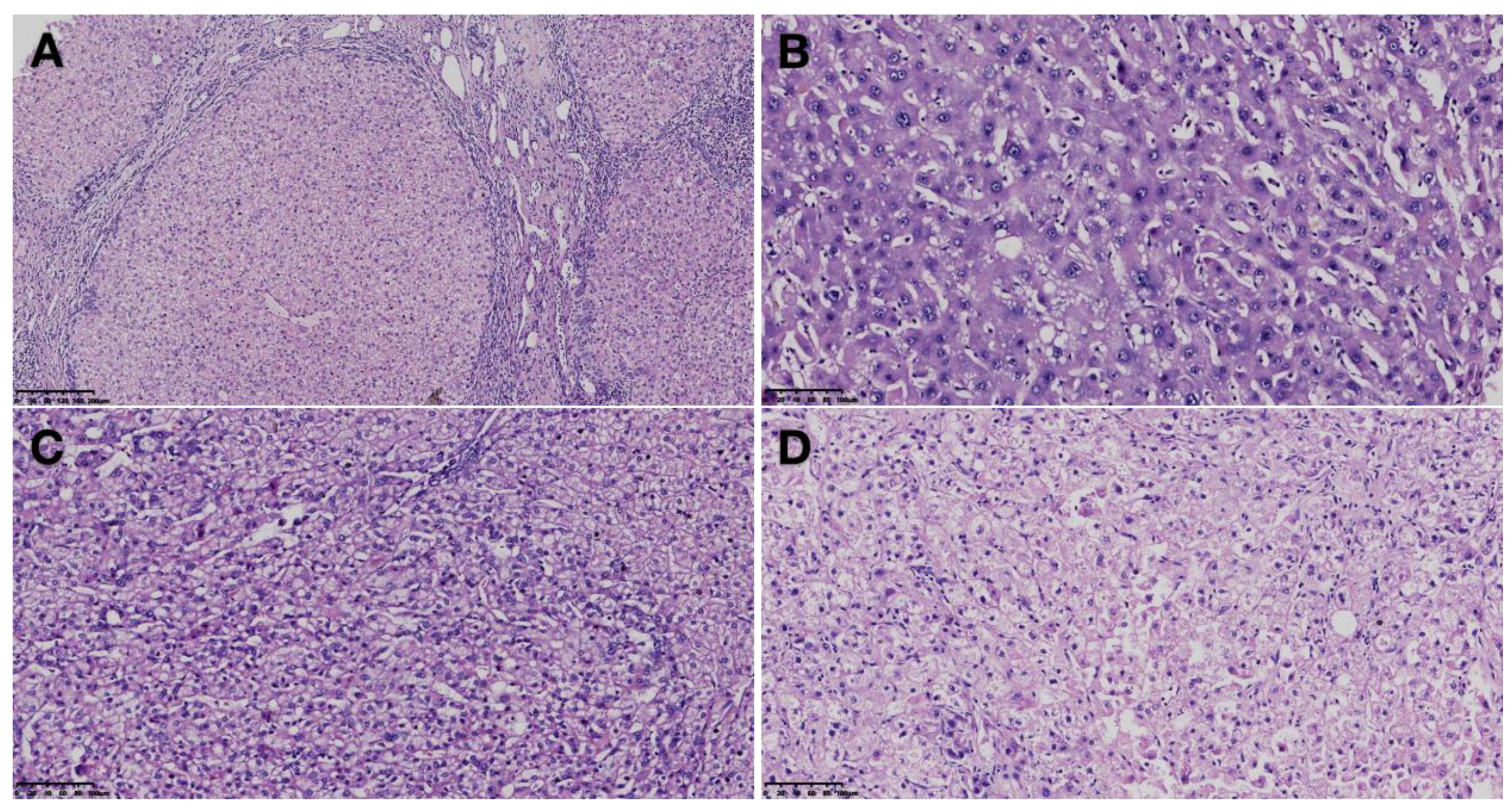 Diagnostics 13 01211 g001 Diagnostics 13 01211 g001