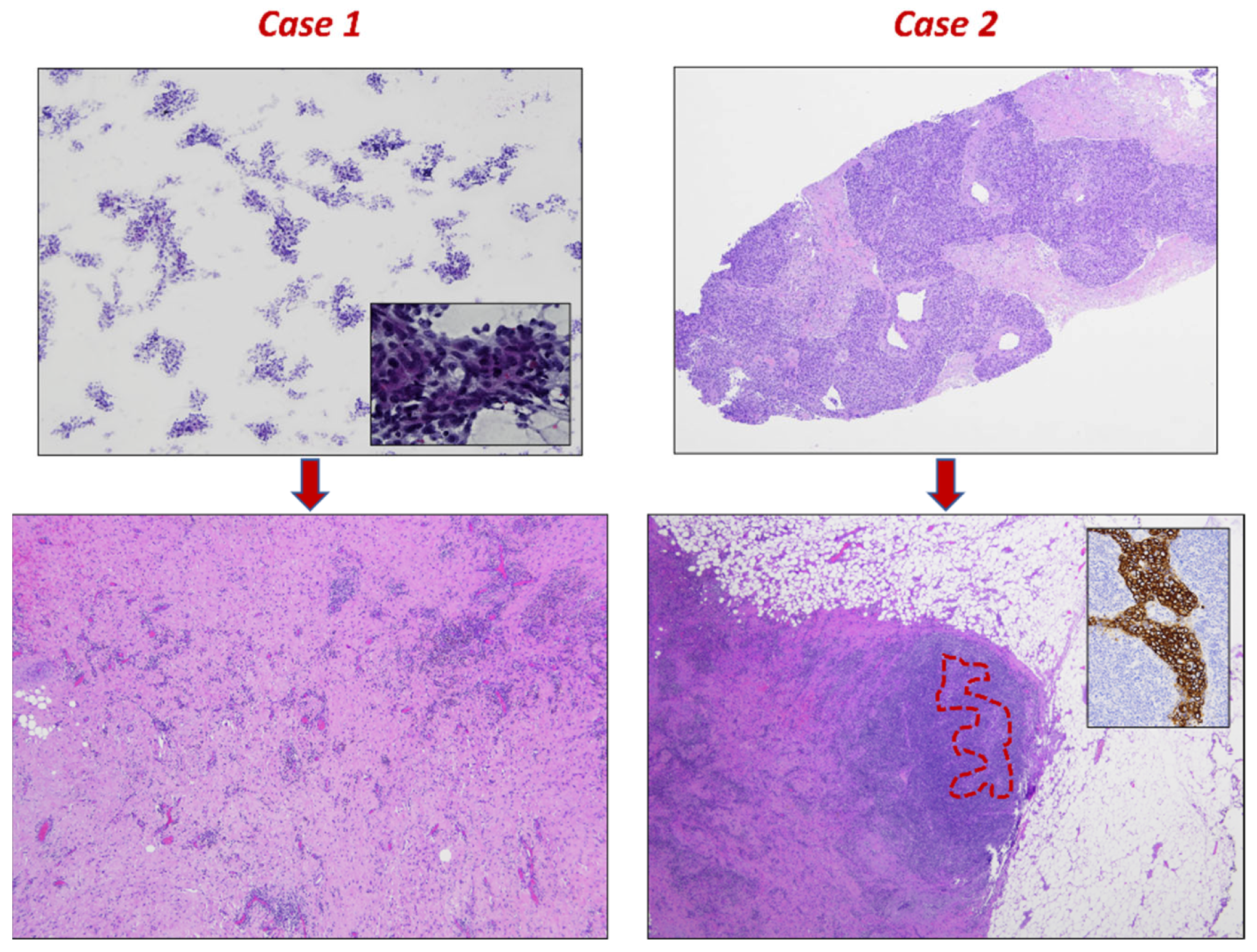 Diagnostics 13 01224 g001 Diagnostics 13 01224 g001
