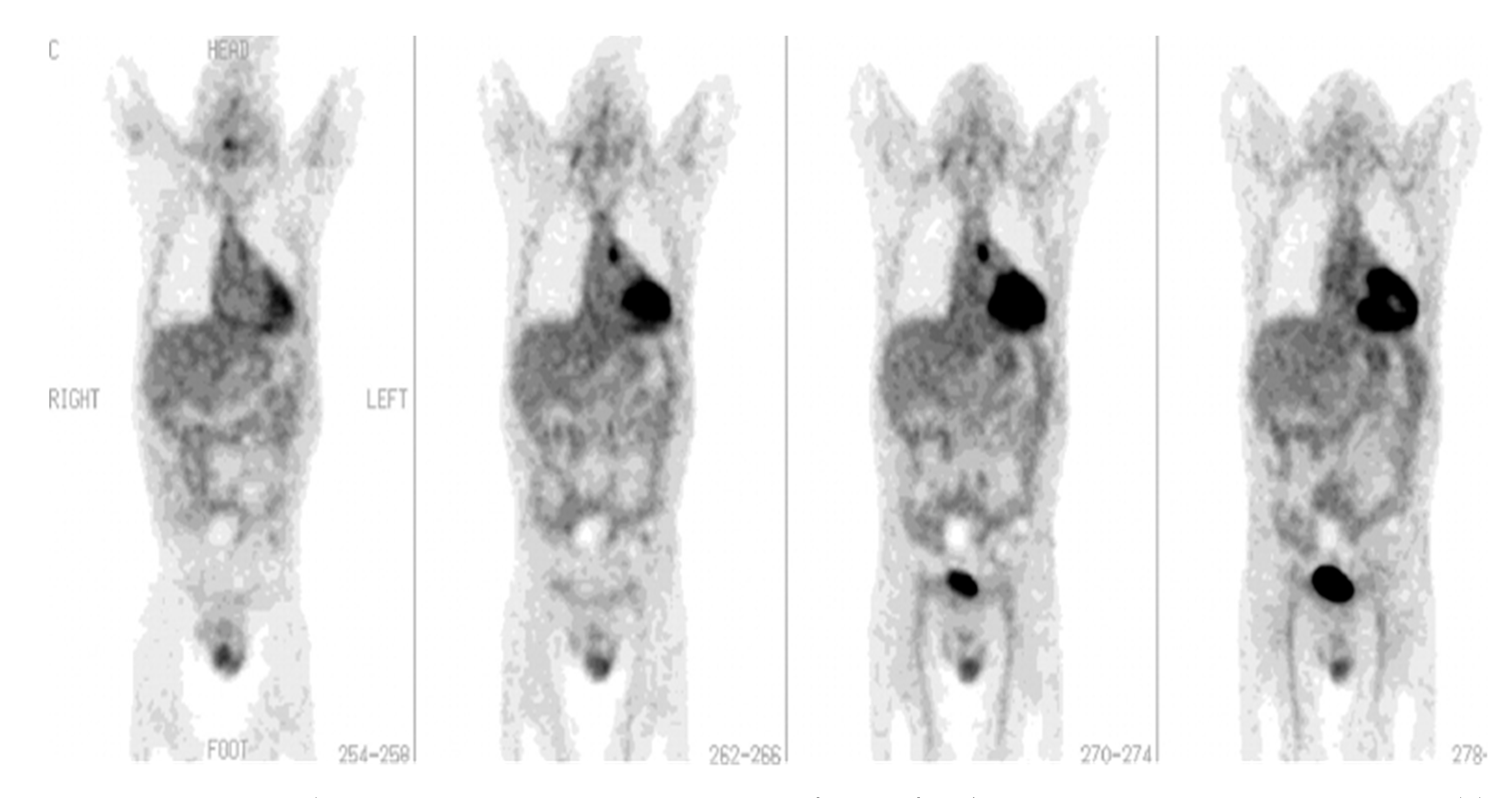 Diagnostics 13 01231 g002 Diagnostics 13 01231 g002