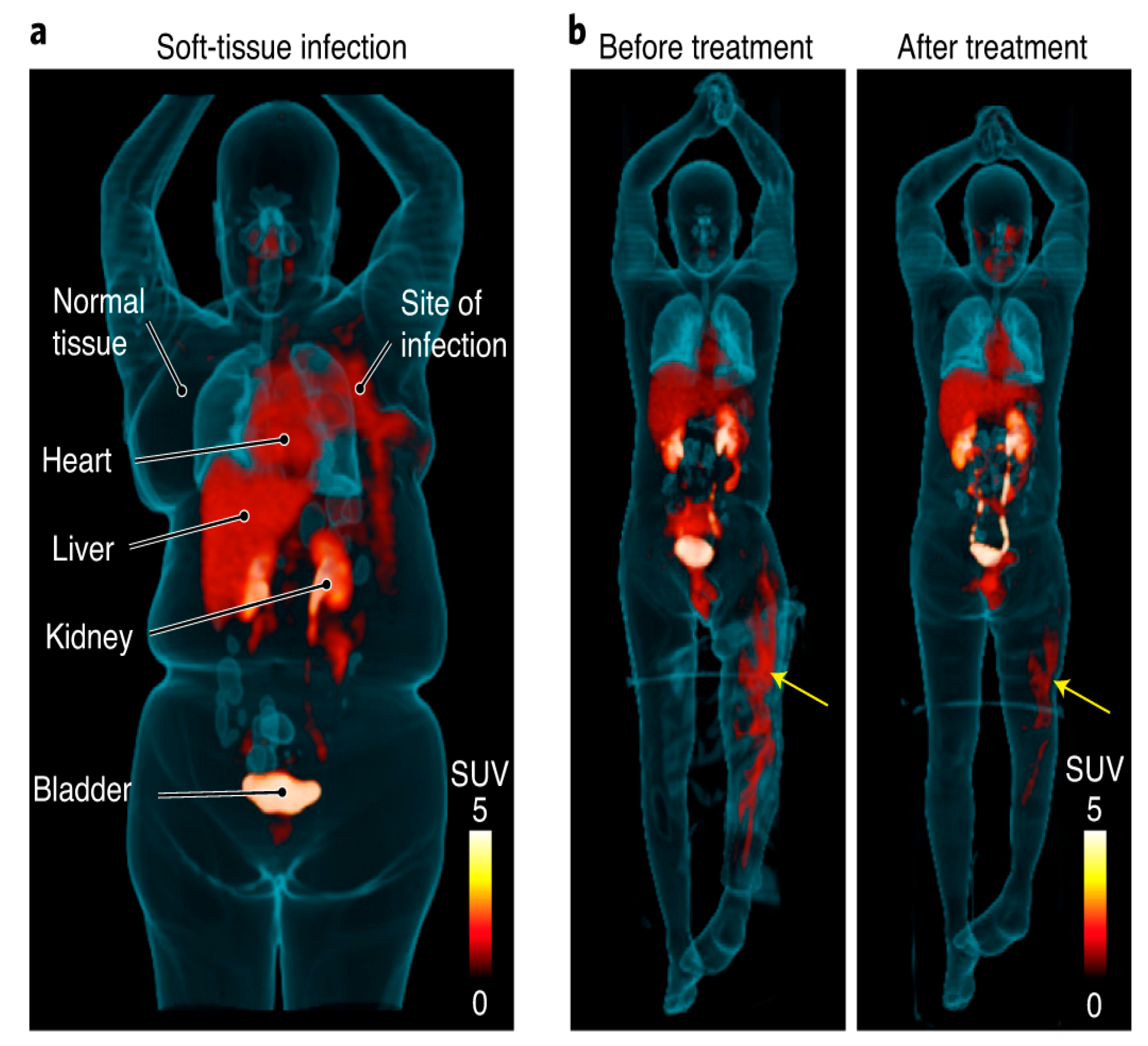 Diagnostics 13 01231 g005 Diagnostics 13 01231 g005