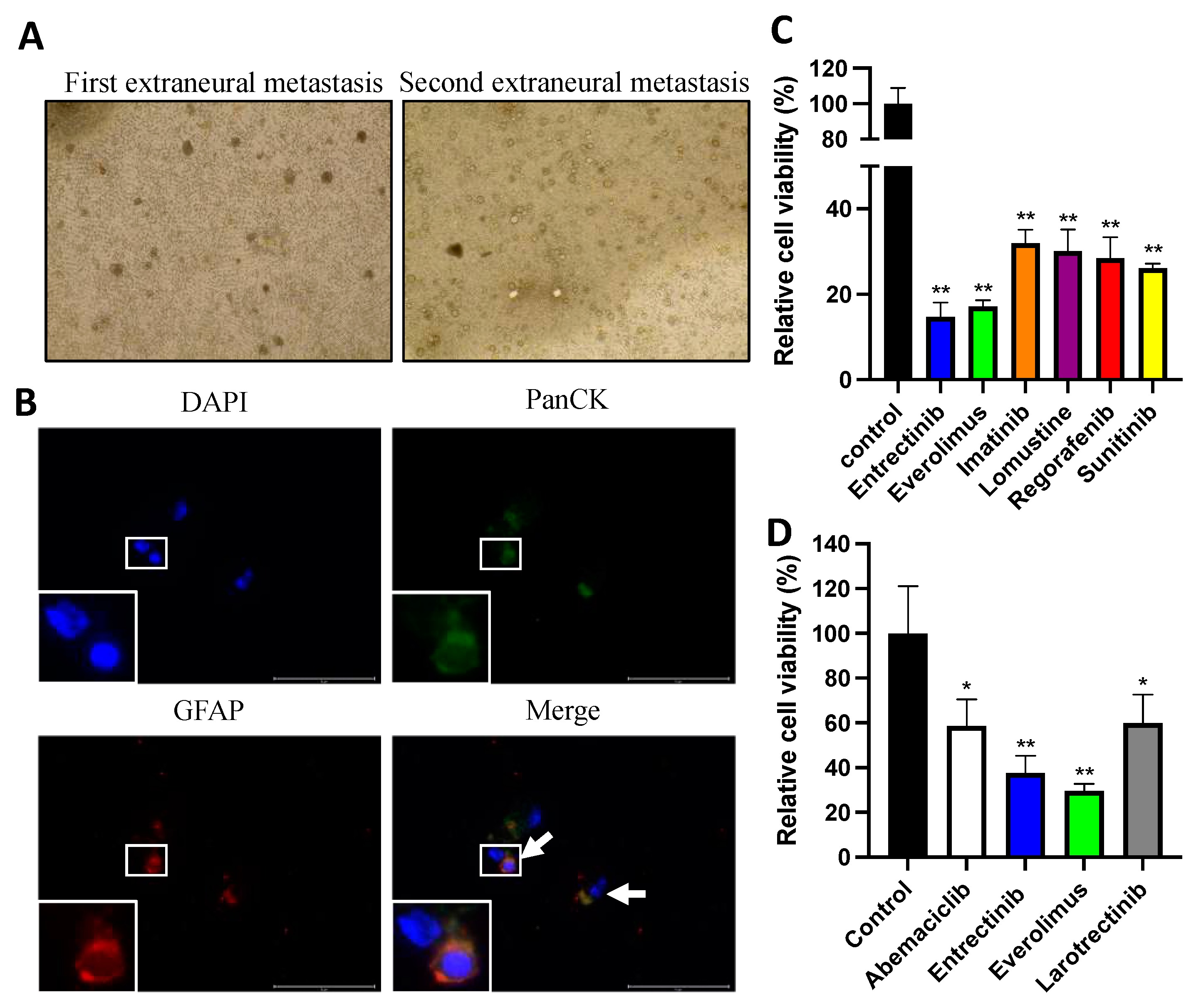 Diagnostics 13 01232 g004
