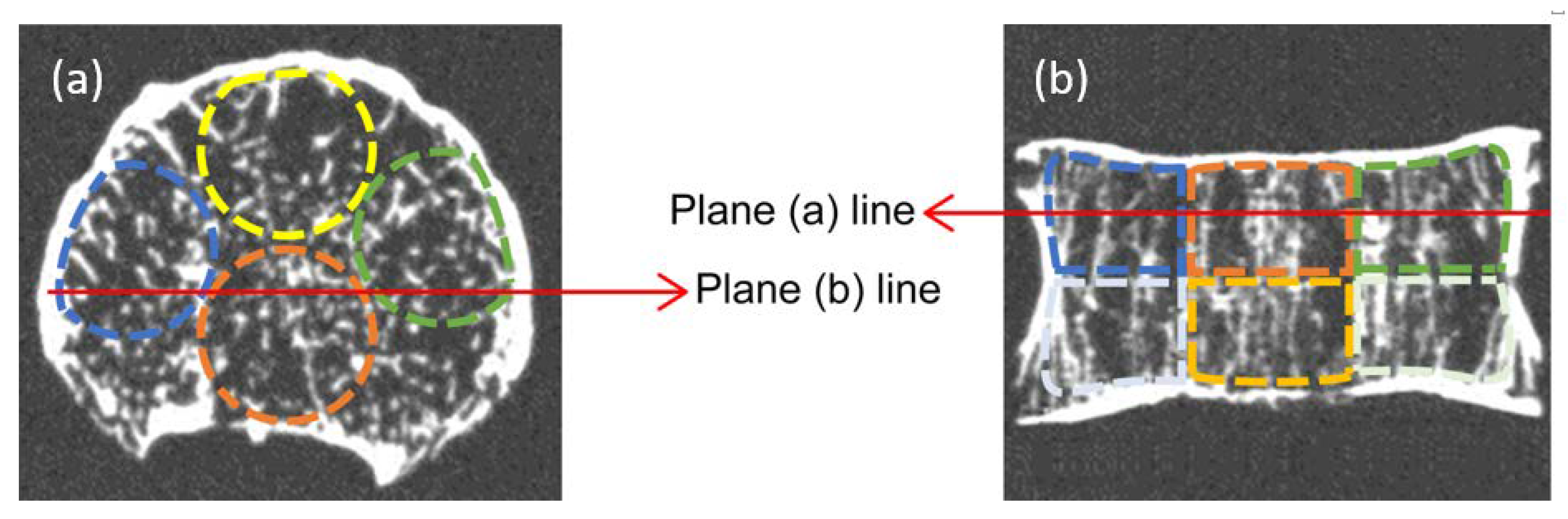 Diagnostics 13 01240 g001