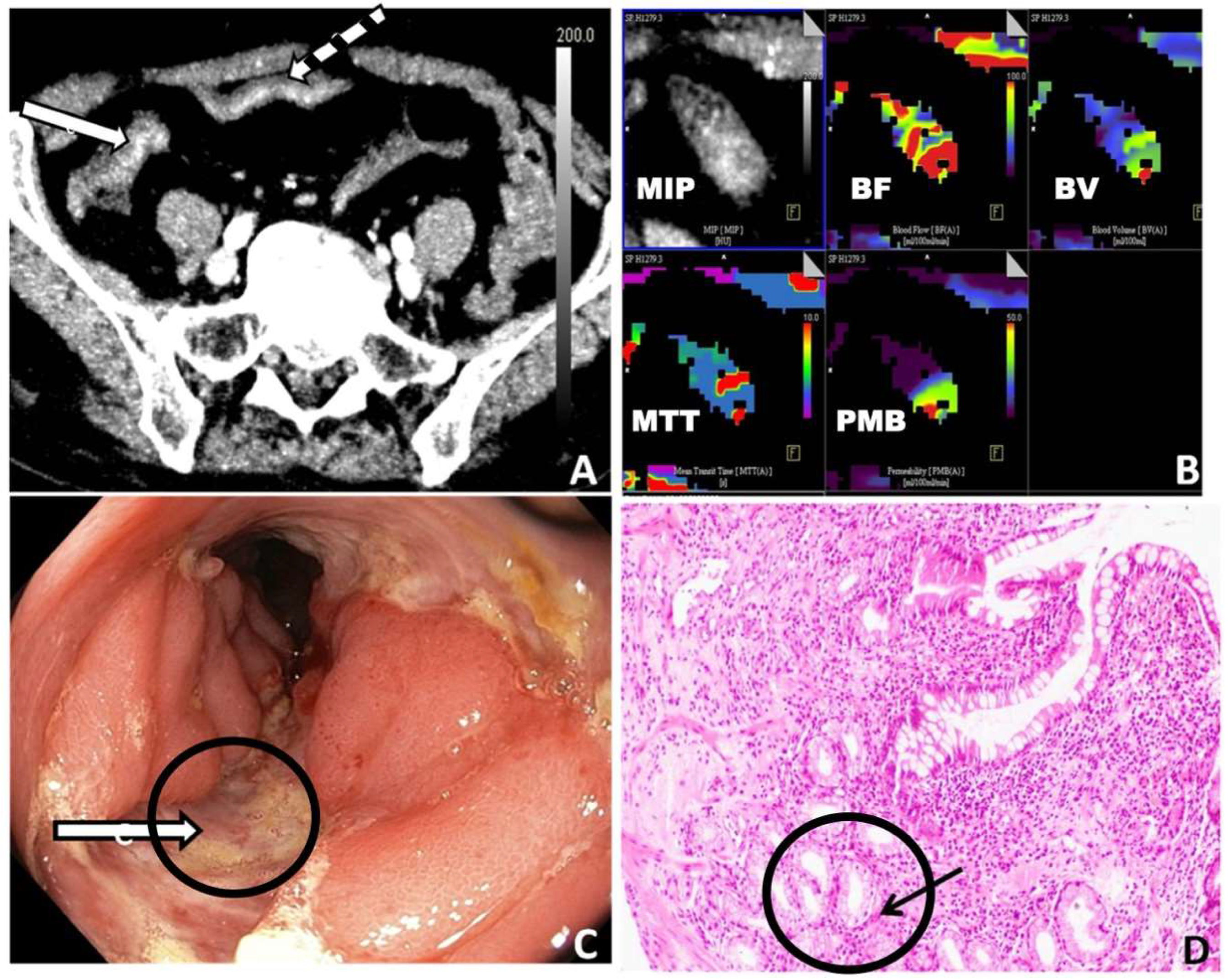 Diagnostics 13 01255 g003 Diagnostics 13 01255 g003