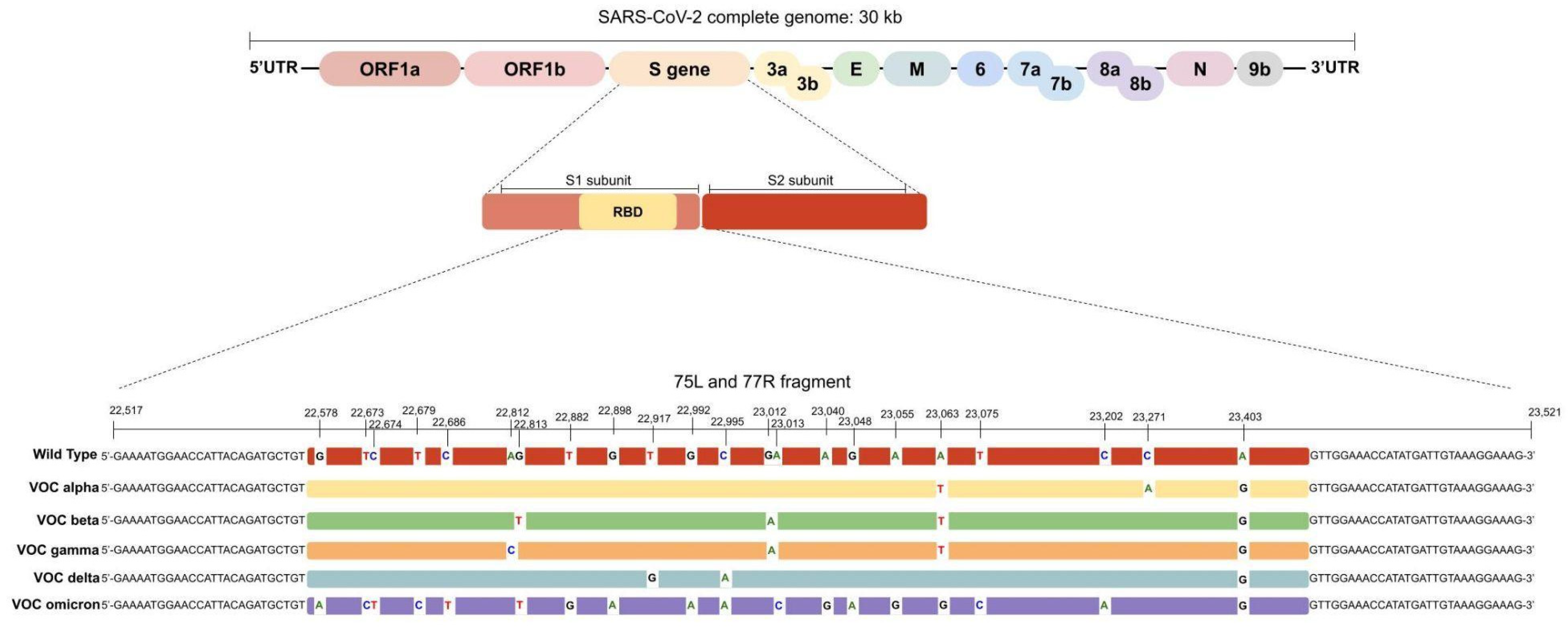 Diagnostics 13 01256 g001