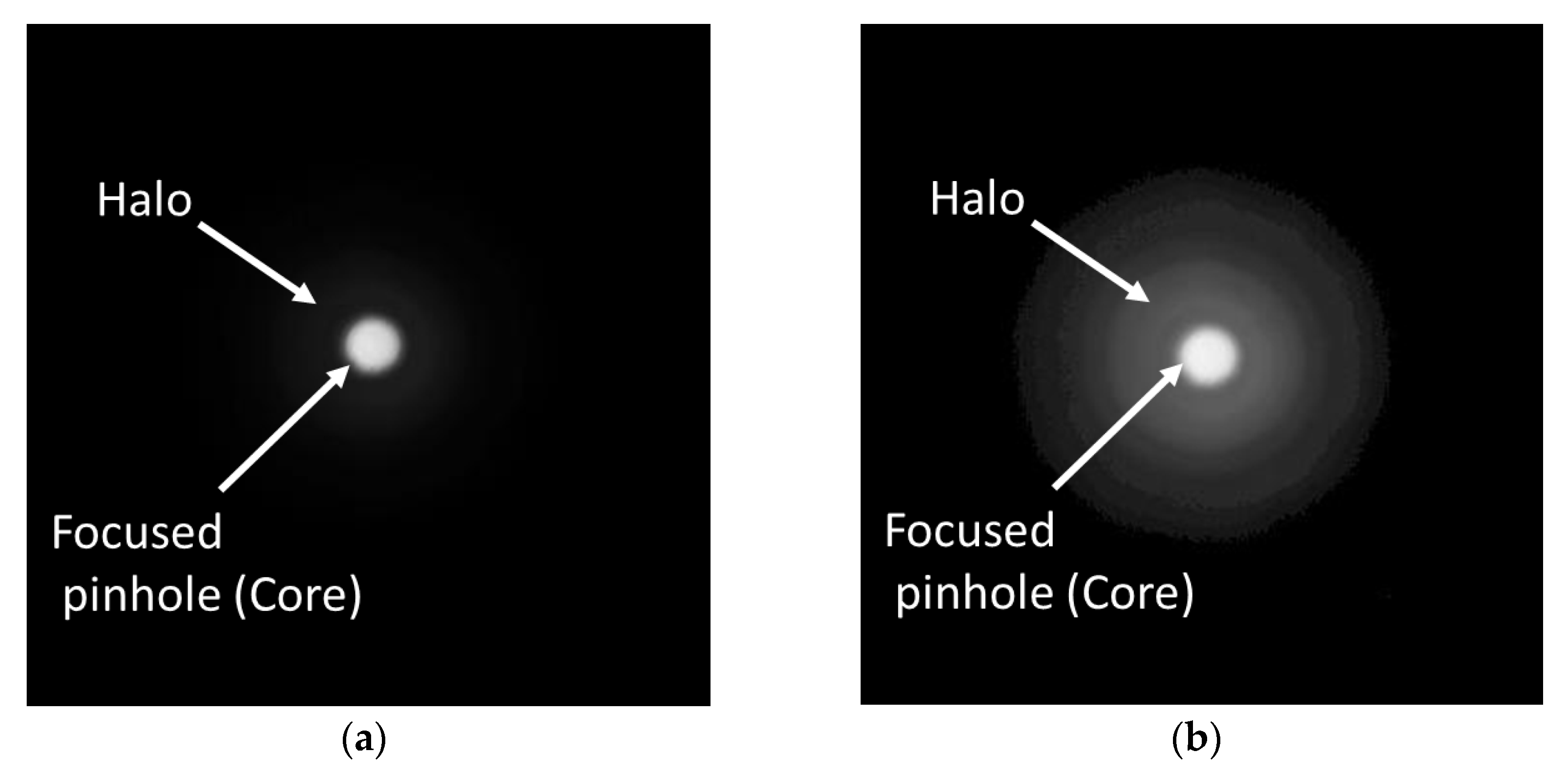 Diagnostics 13 01259 g002 Diagnostics 13 01259 g002
