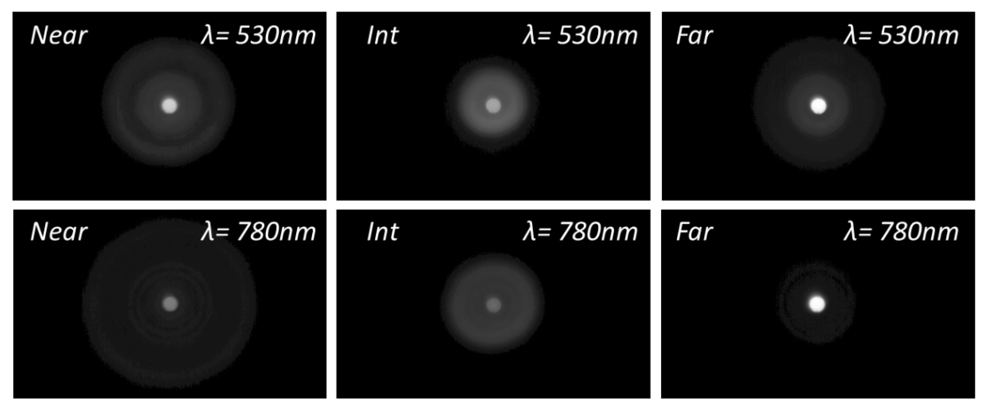 Diagnostics 13 01259 g005 Diagnostics 13 01259 g005