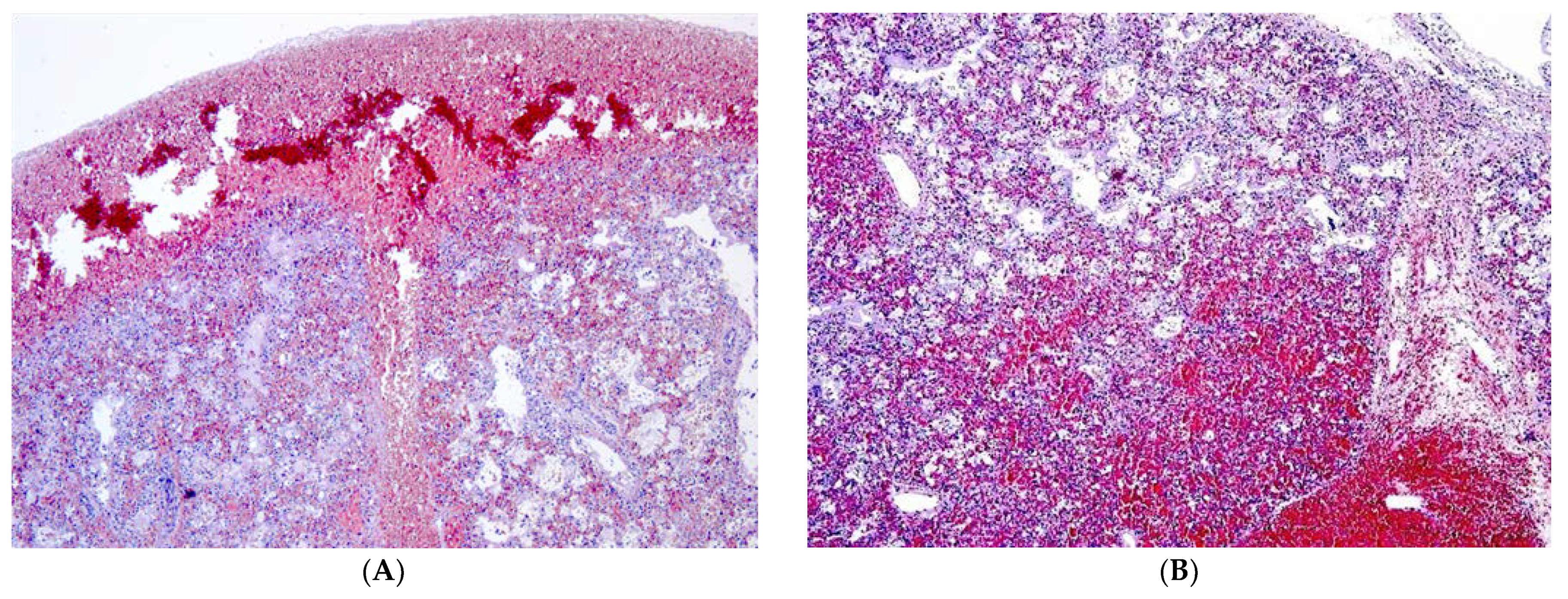 Diagnostics 13 01270 g001a