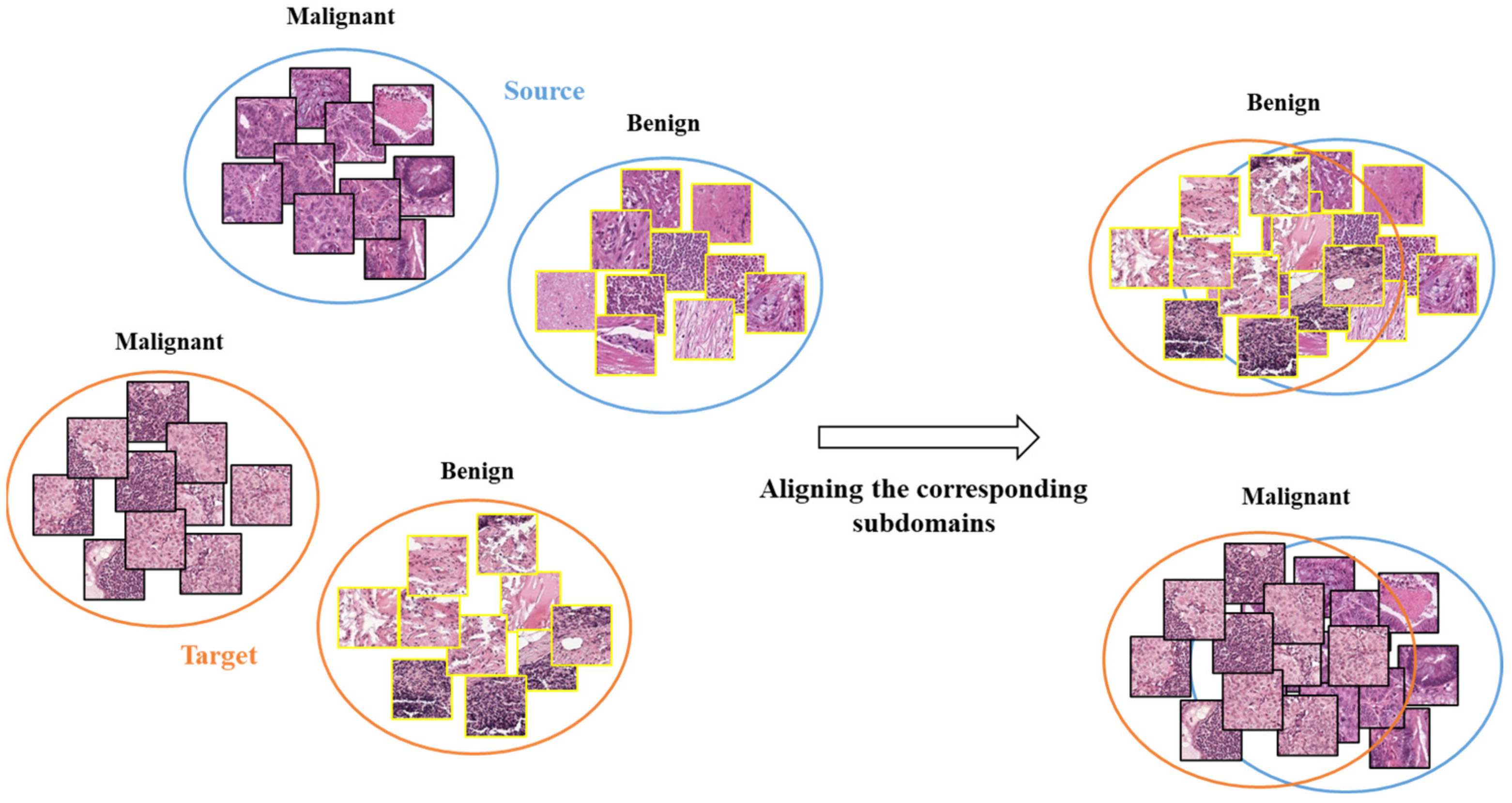 Diagnostics 13 01277 g003 Diagnostics 13 01277 g003