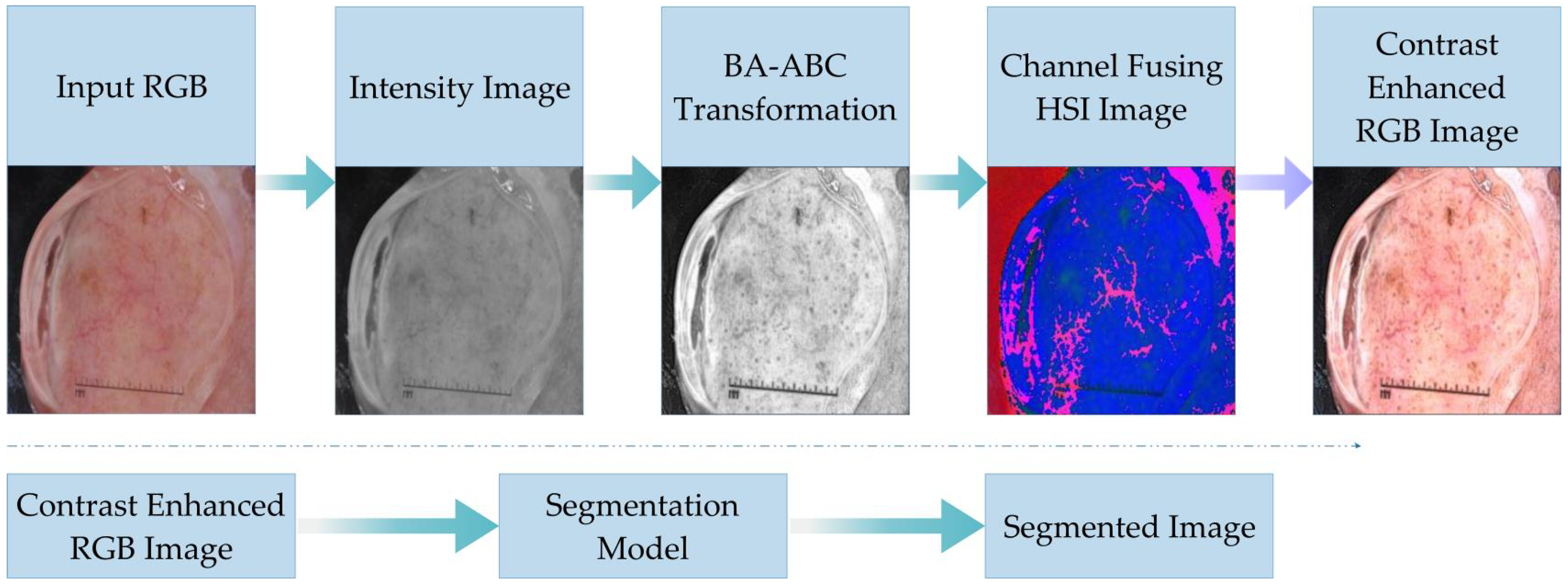 Diagnostics 13 01285 g002 Diagnostics 13 01285 g002