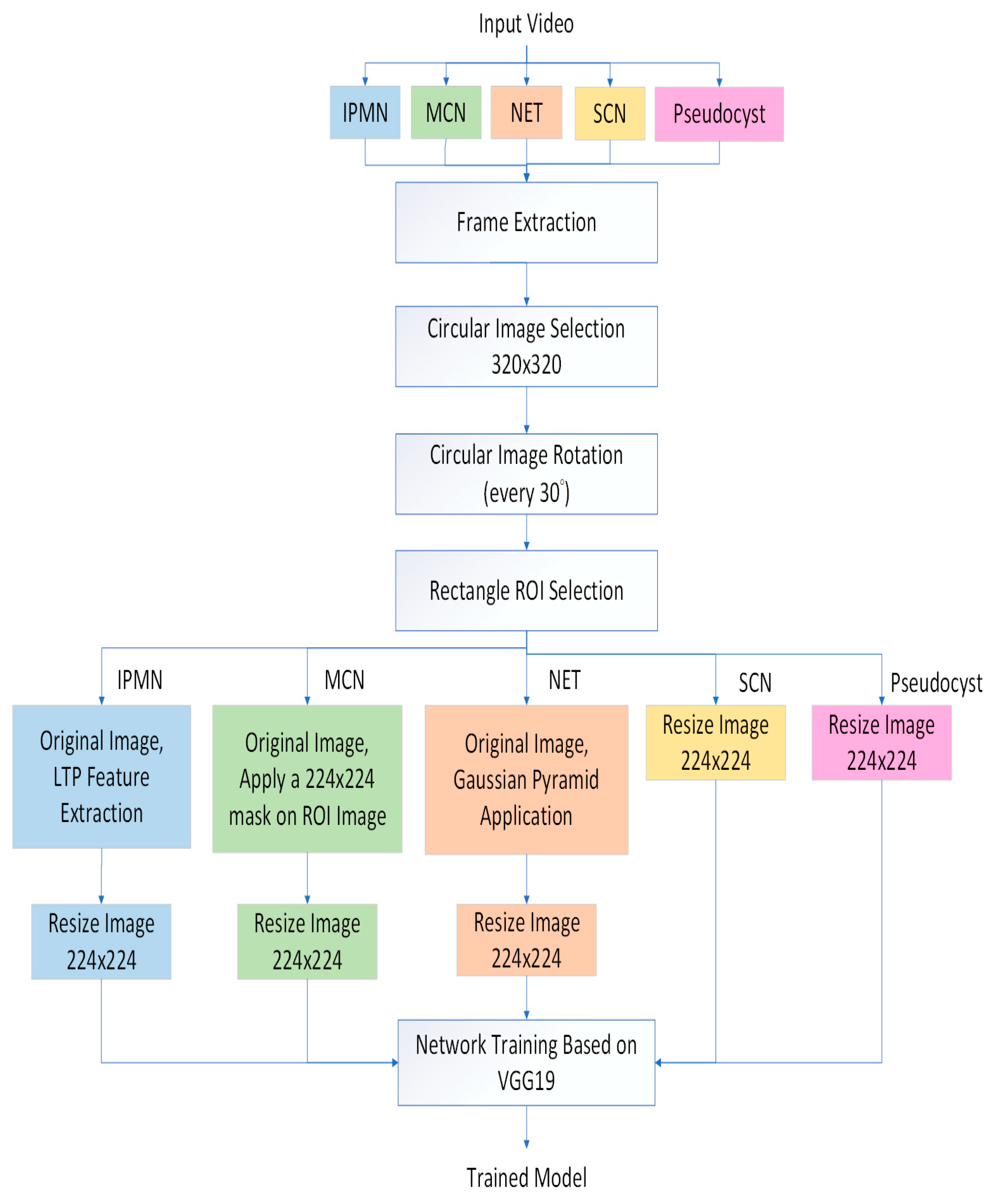 Diagnostics 13 01289 g001