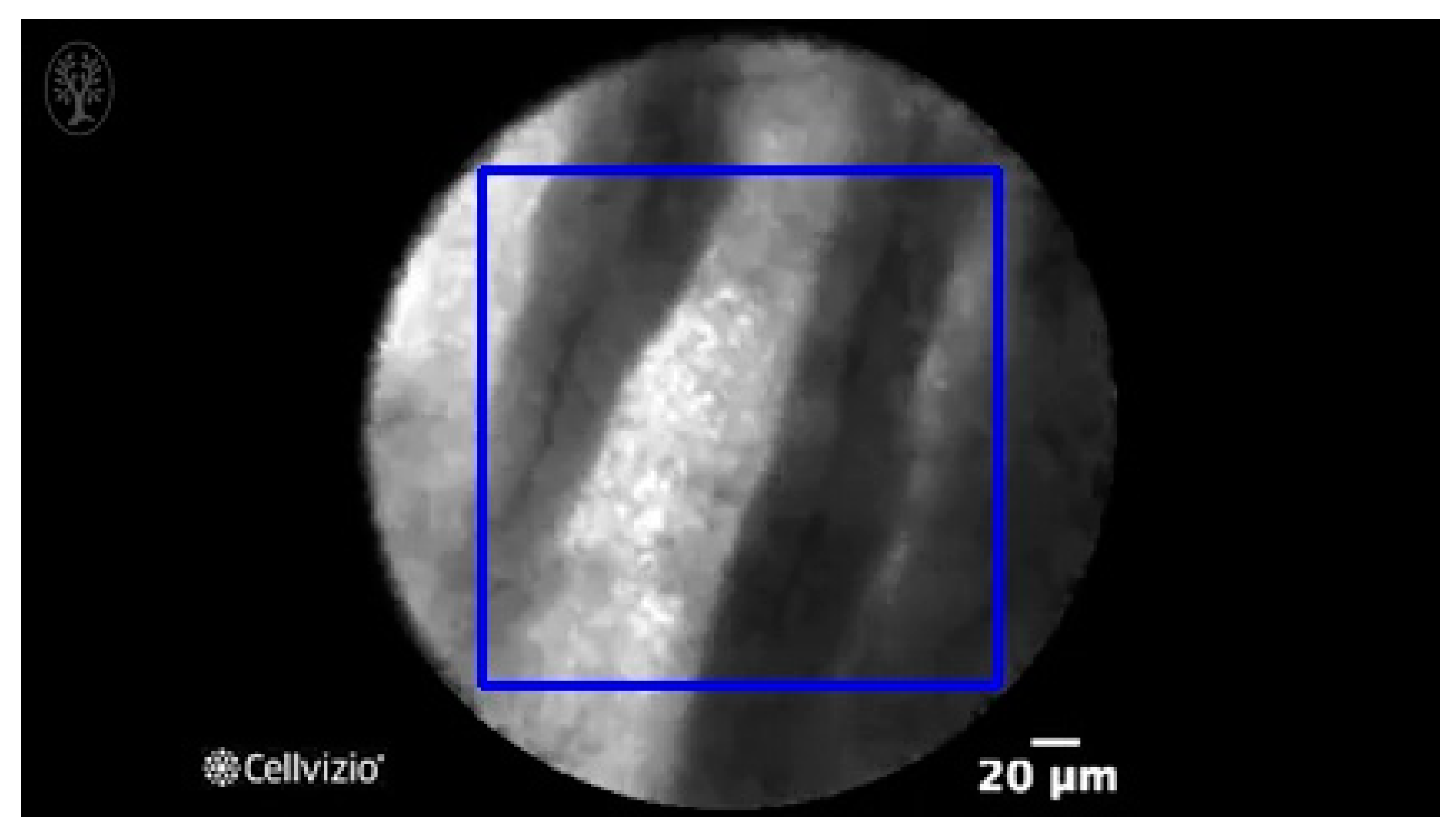 Diagnostics 13 01289 g003