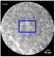 Diagnostics 13 01289 i013