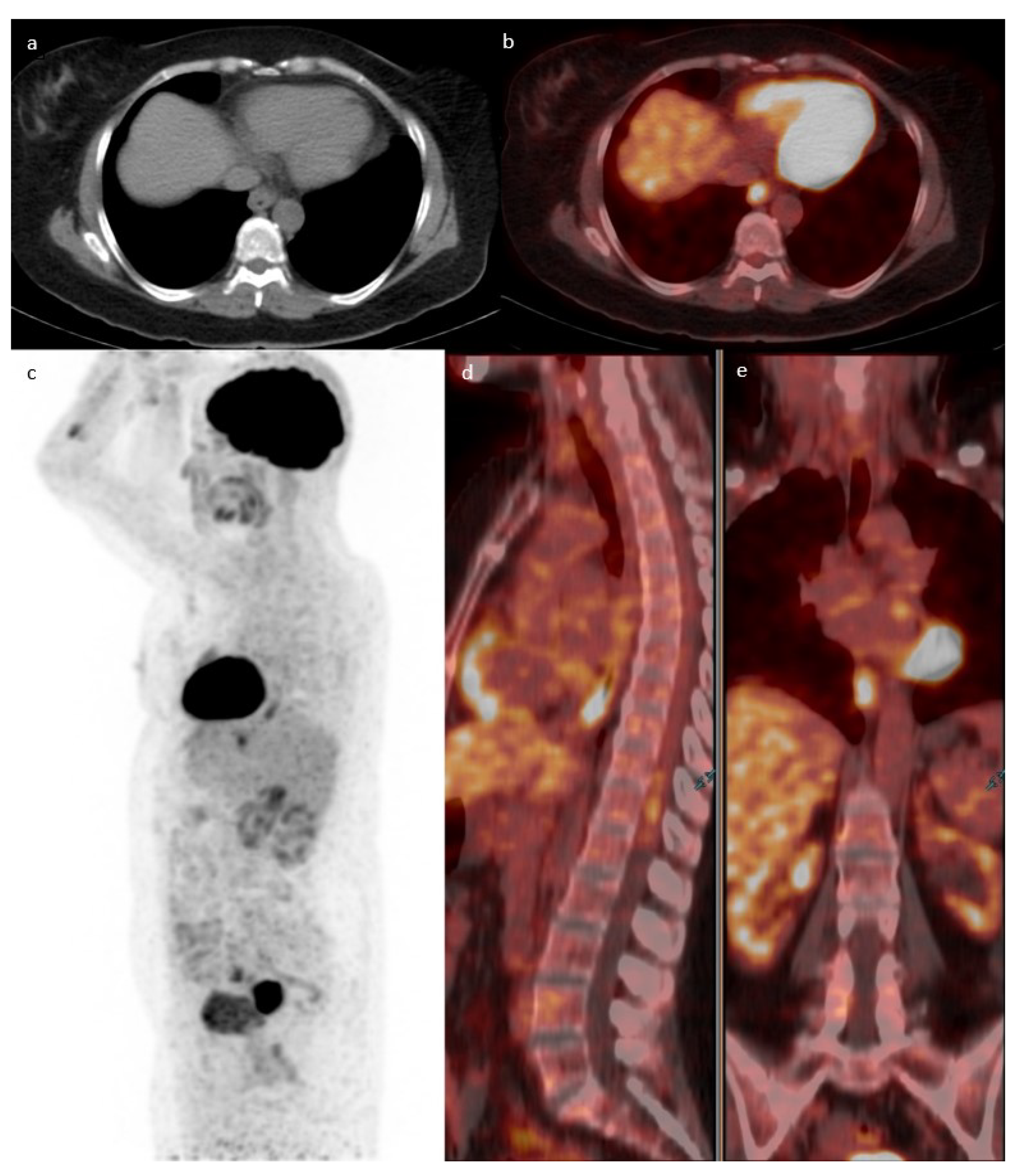 Diagnostics 13 01297 g005