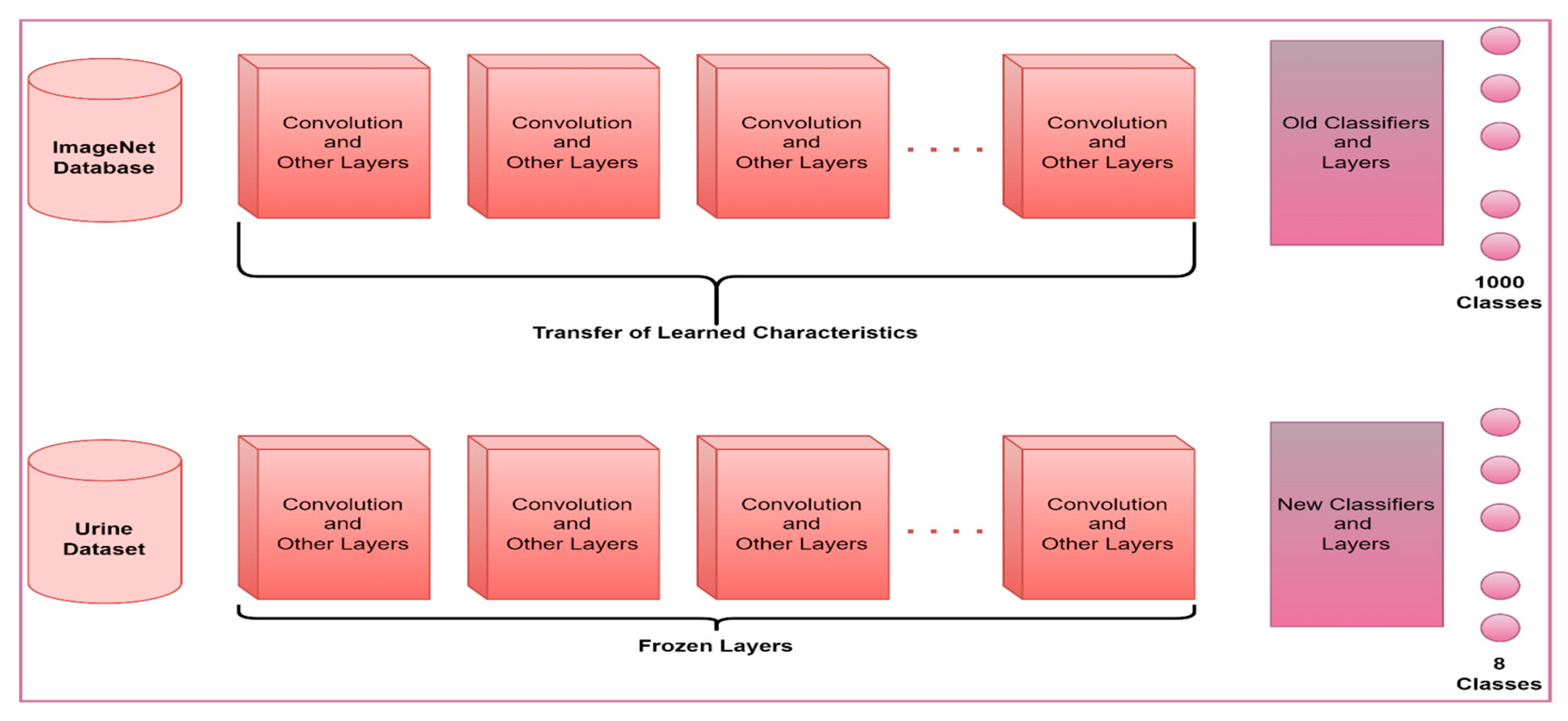 Diagnostics 13 01299 g004