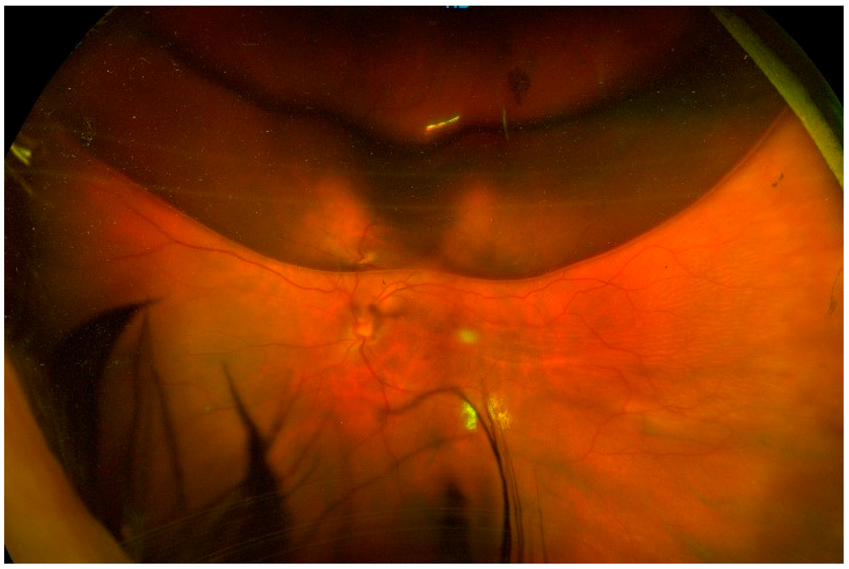 Diagnostics 13 01301 g002