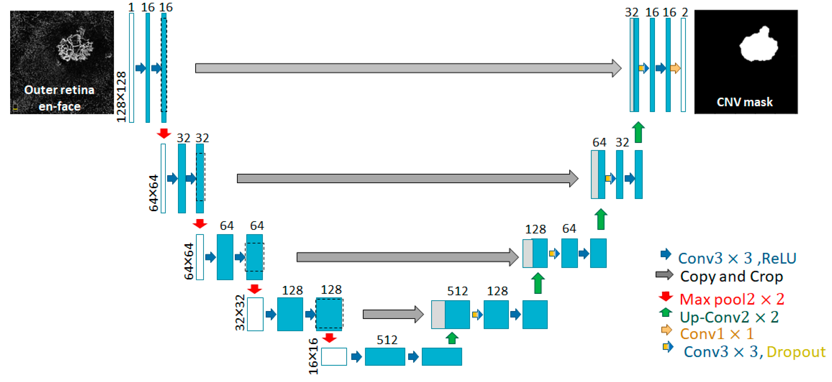 Diagnostics 13 01309 g003