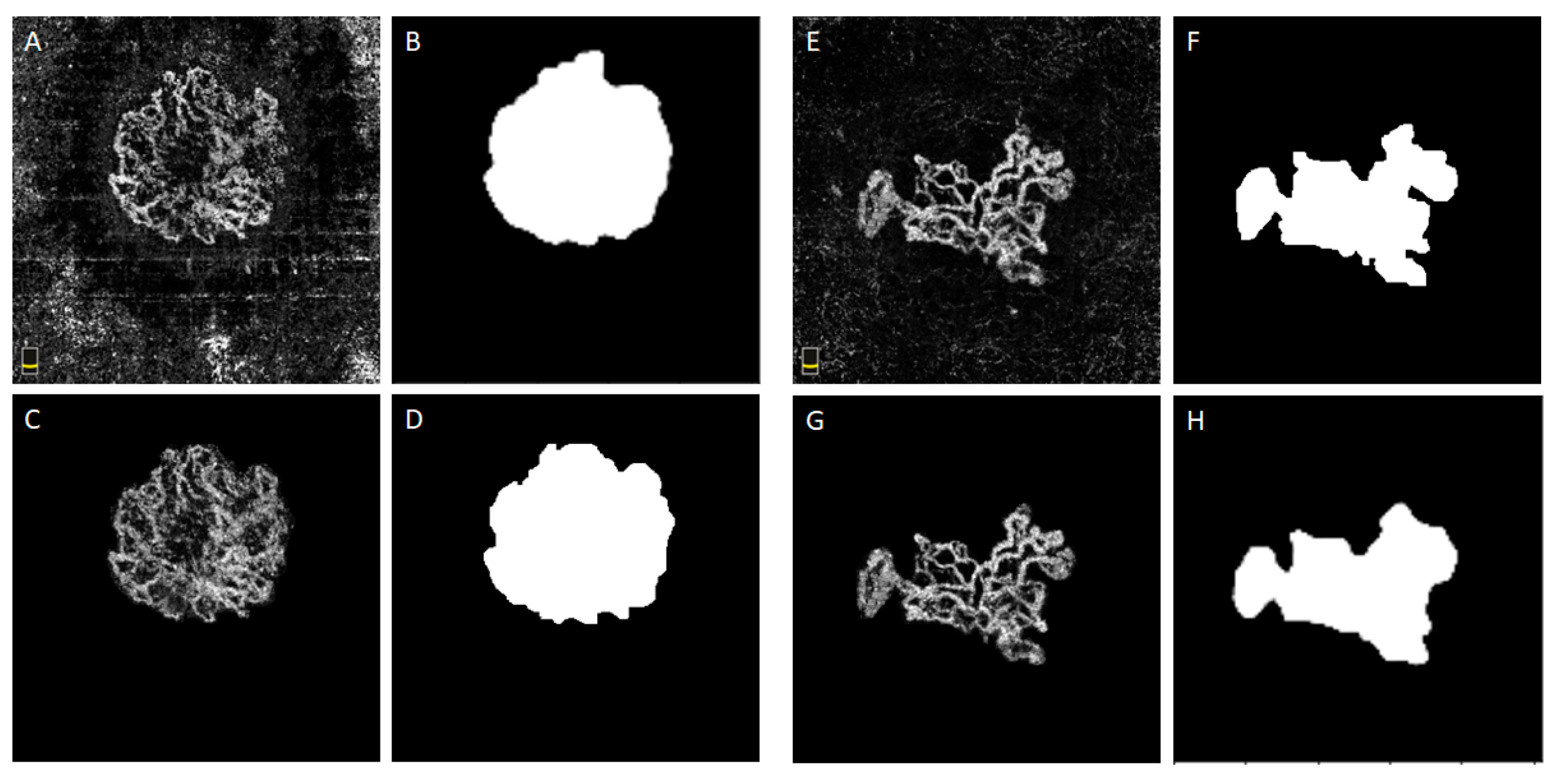 Diagnostics 13 01309 g006