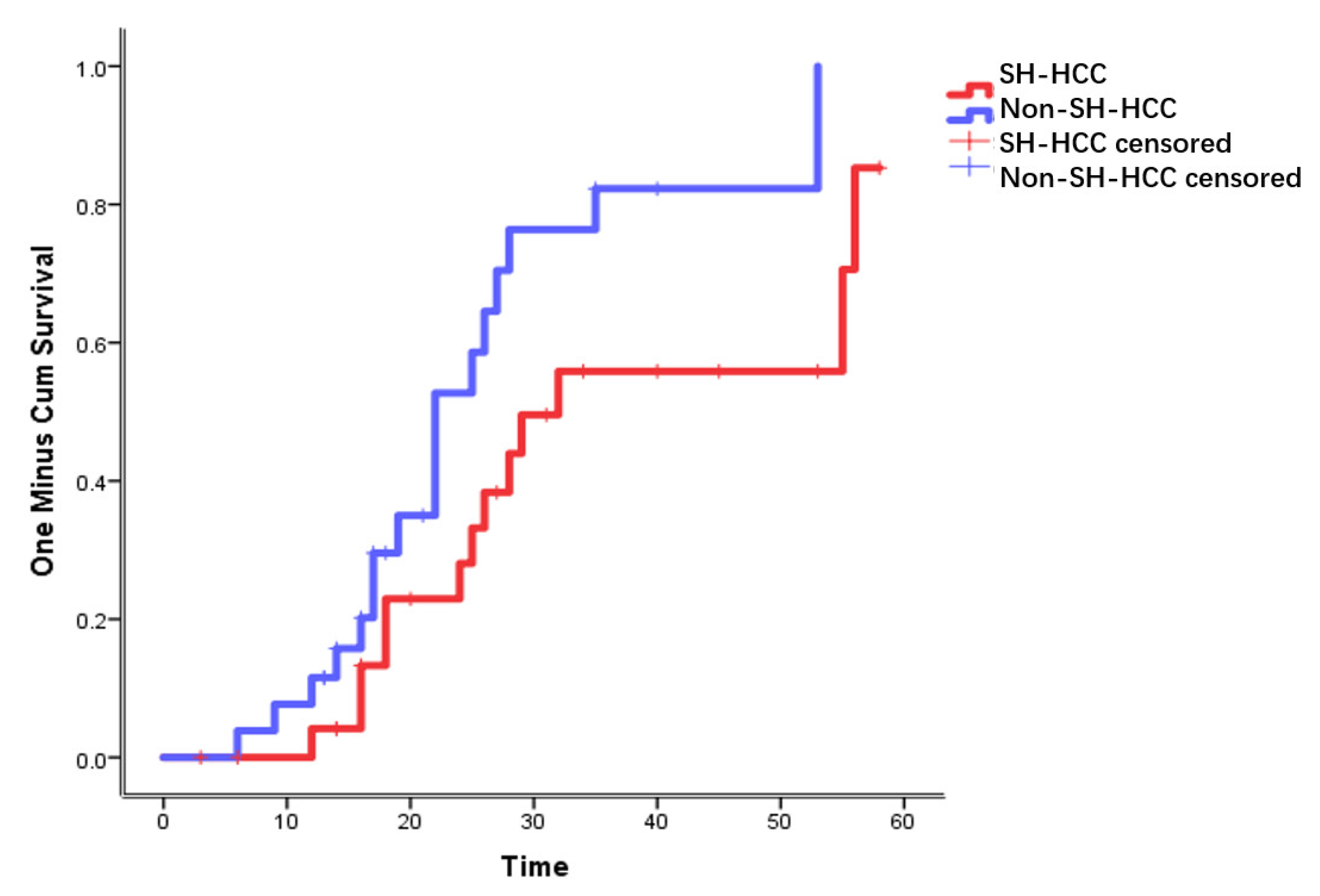 Diagnostics 13 01337 g004
